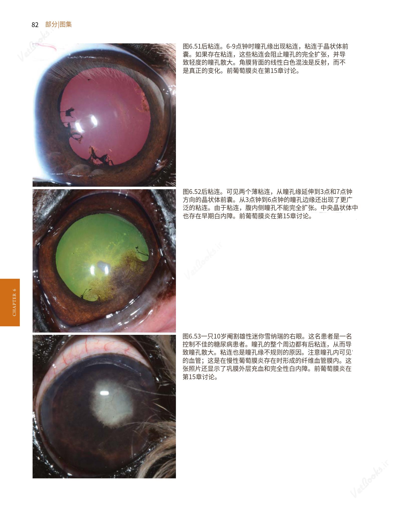 translated.8d36d370b5854e5687dea4520313d3b9_106.png