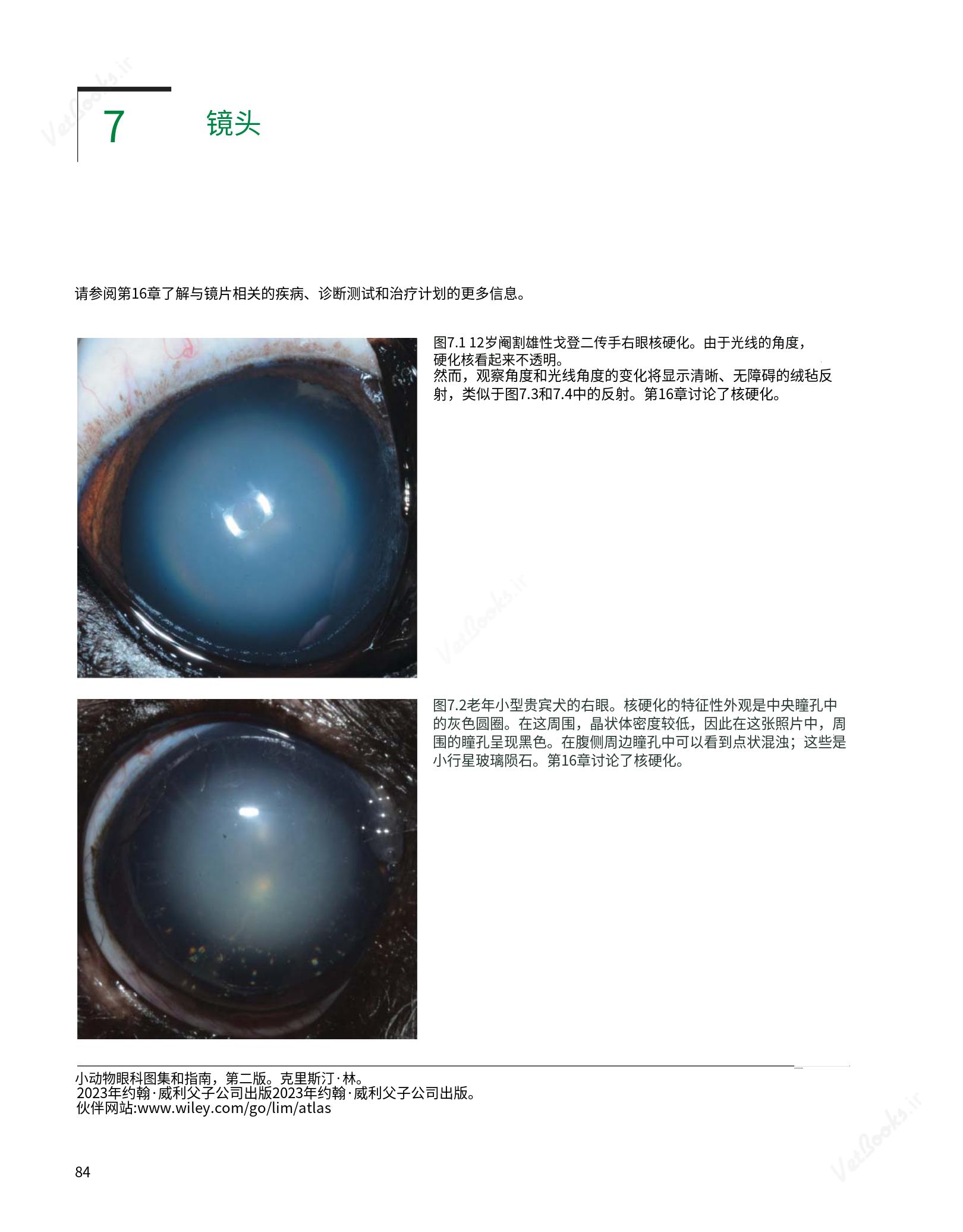 translated.8d36d370b5854e5687dea4520313d3b9_108.png