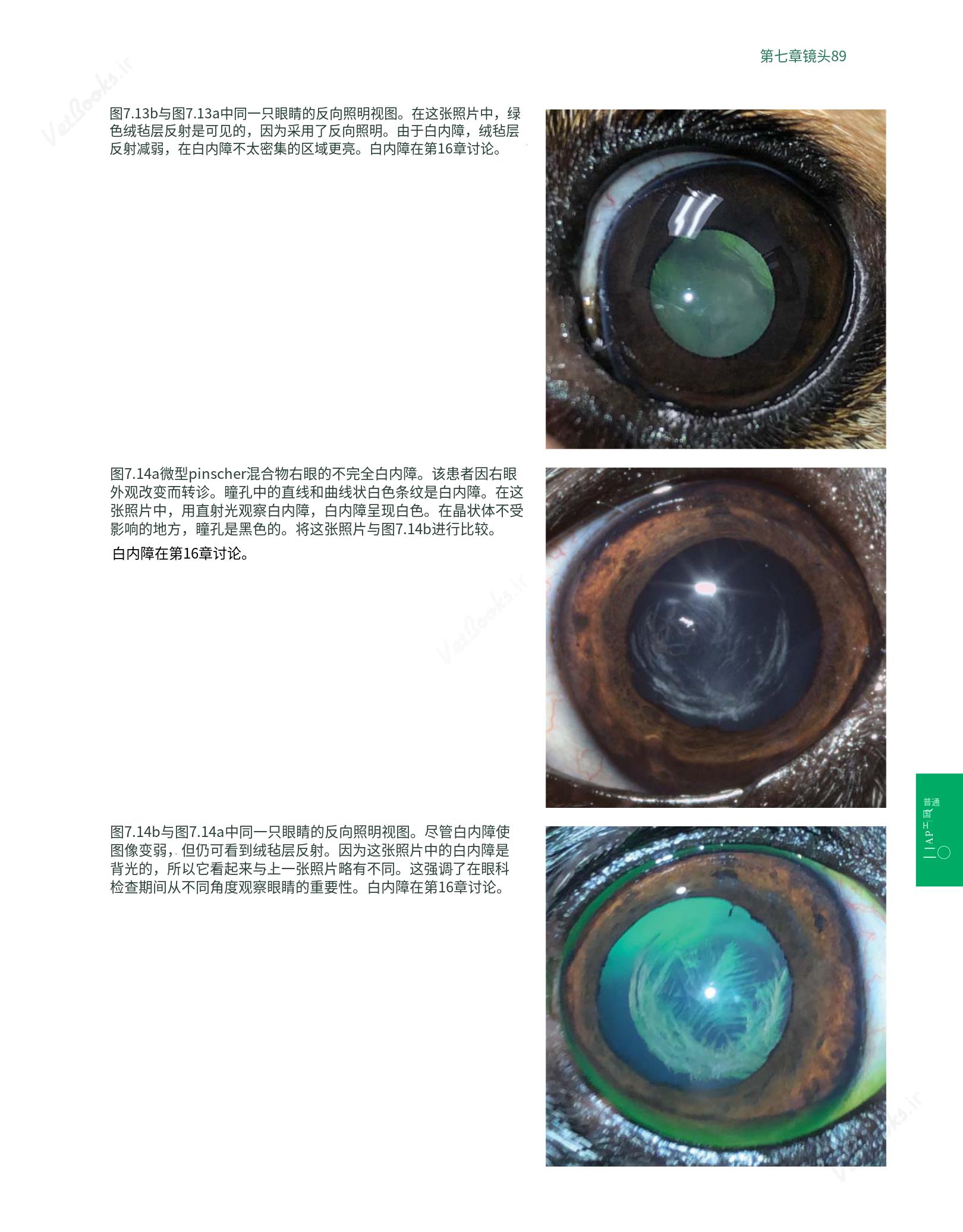 translated.8d36d370b5854e5687dea4520313d3b9_113.png