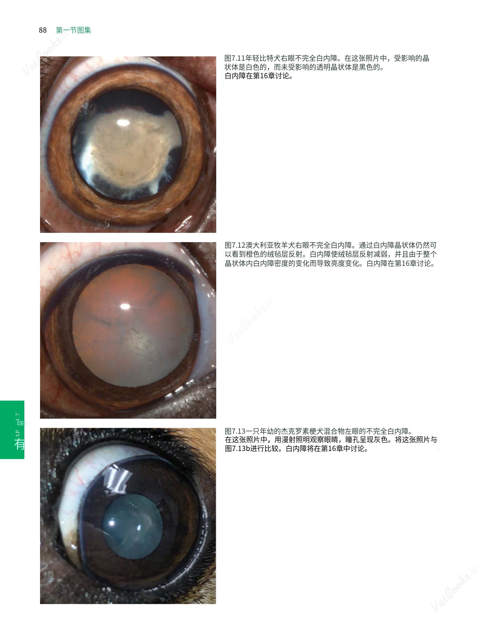 translated.8d36d370b5854e5687dea4520313d3b9_112.png