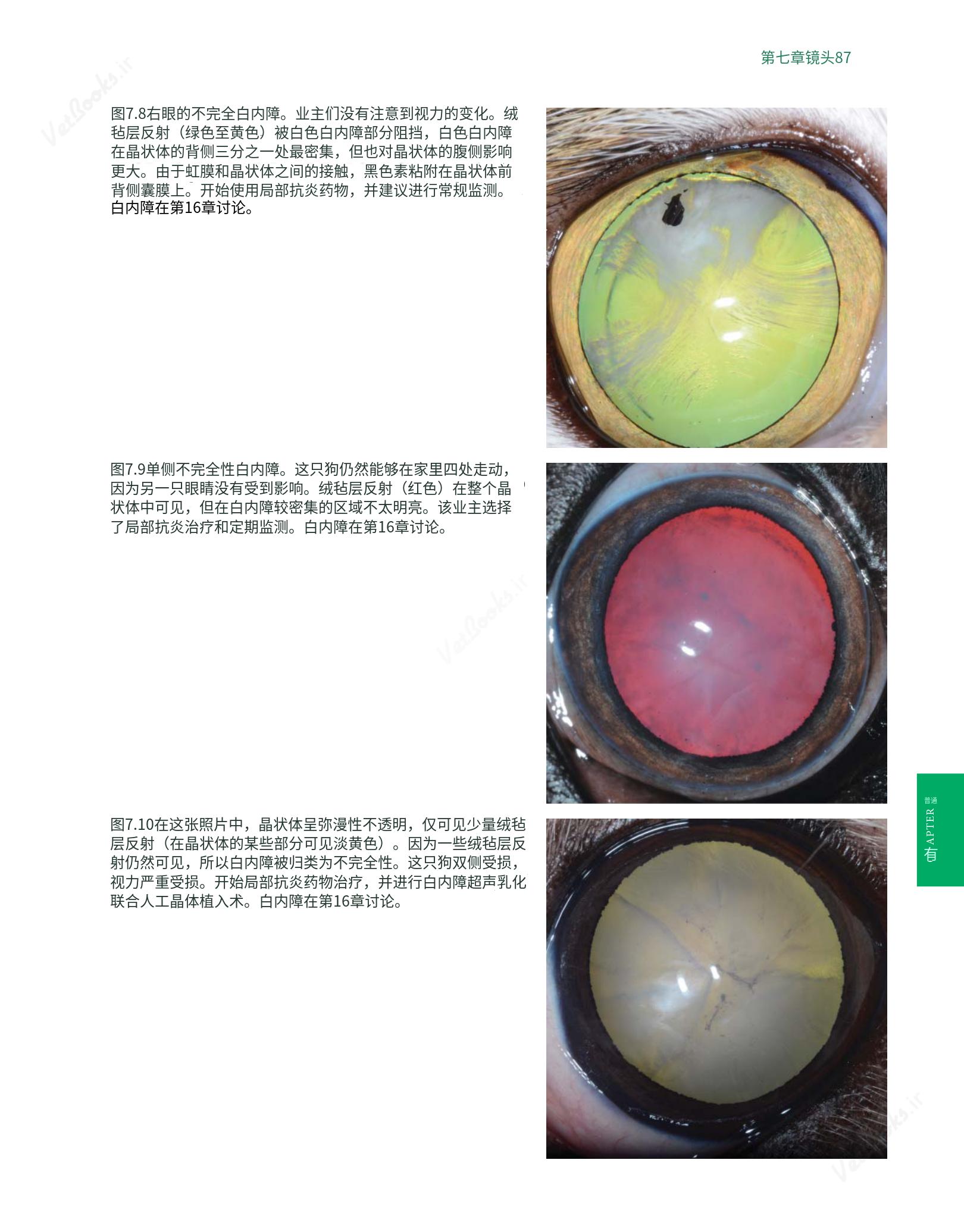 translated.8d36d370b5854e5687dea4520313d3b9_111.png