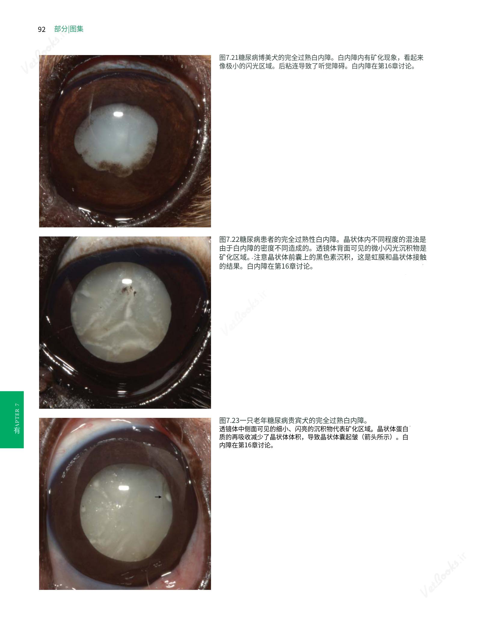 translated.8d36d370b5854e5687dea4520313d3b9_116.png