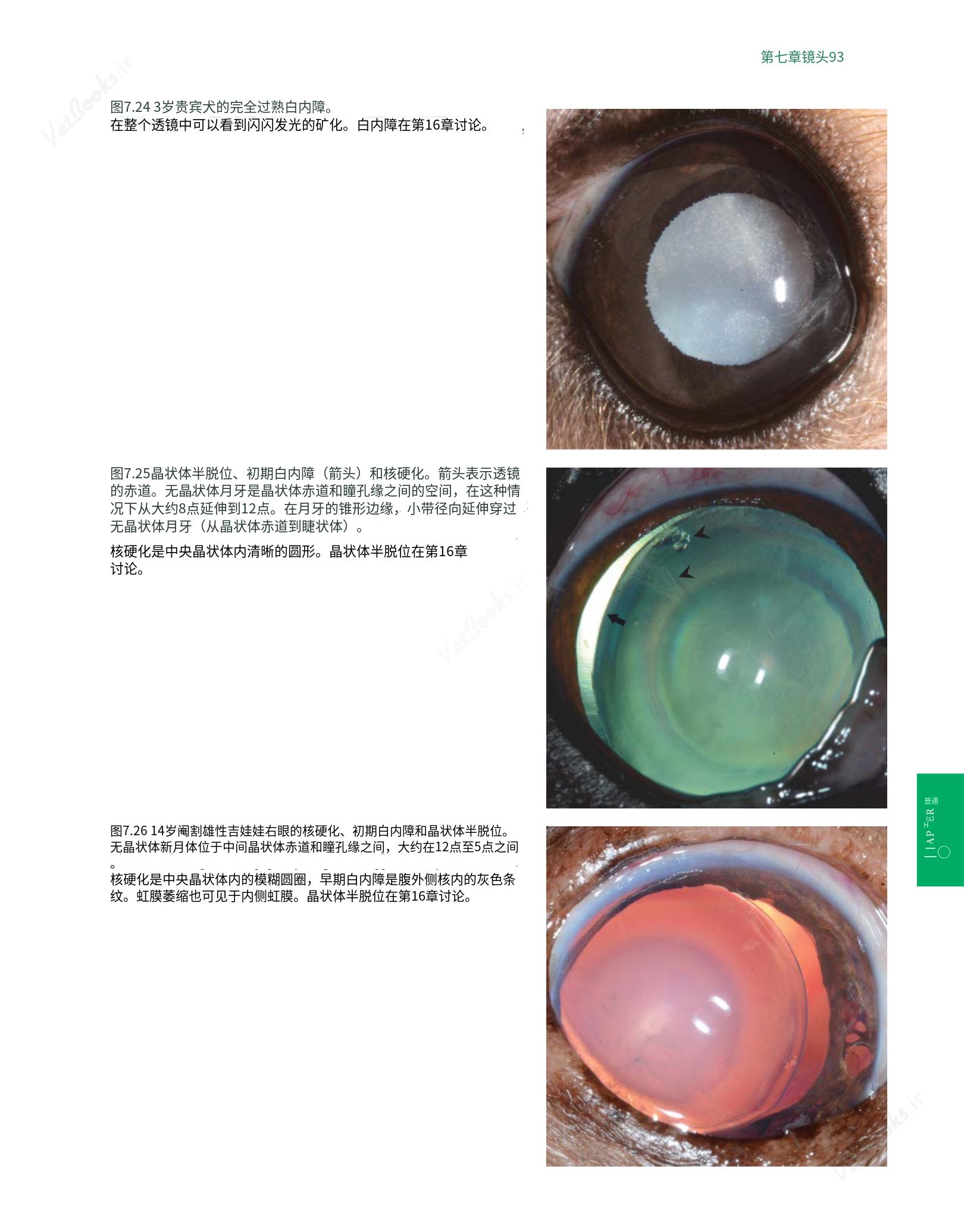 translated.8d36d370b5854e5687dea4520313d3b9_117.png