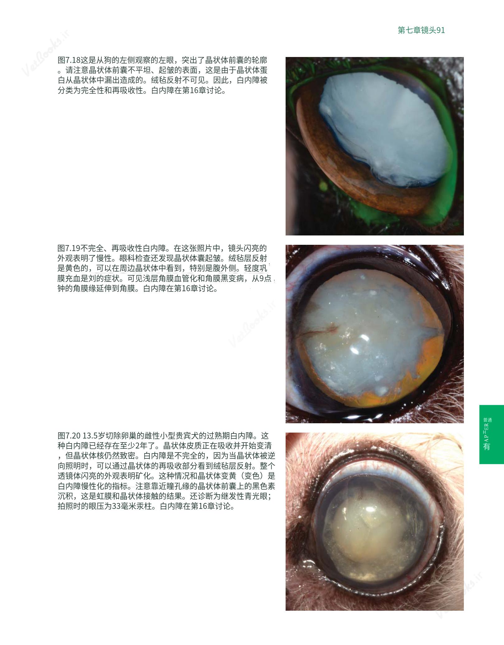 translated.8d36d370b5854e5687dea4520313d3b9_115.png