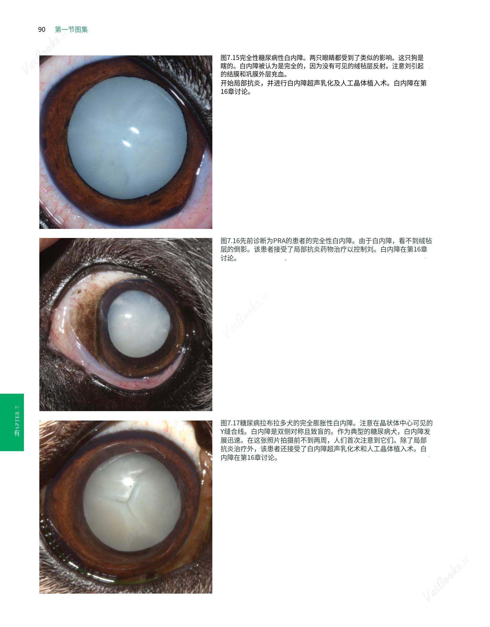 translated.8d36d370b5854e5687dea4520313d3b9_114.png