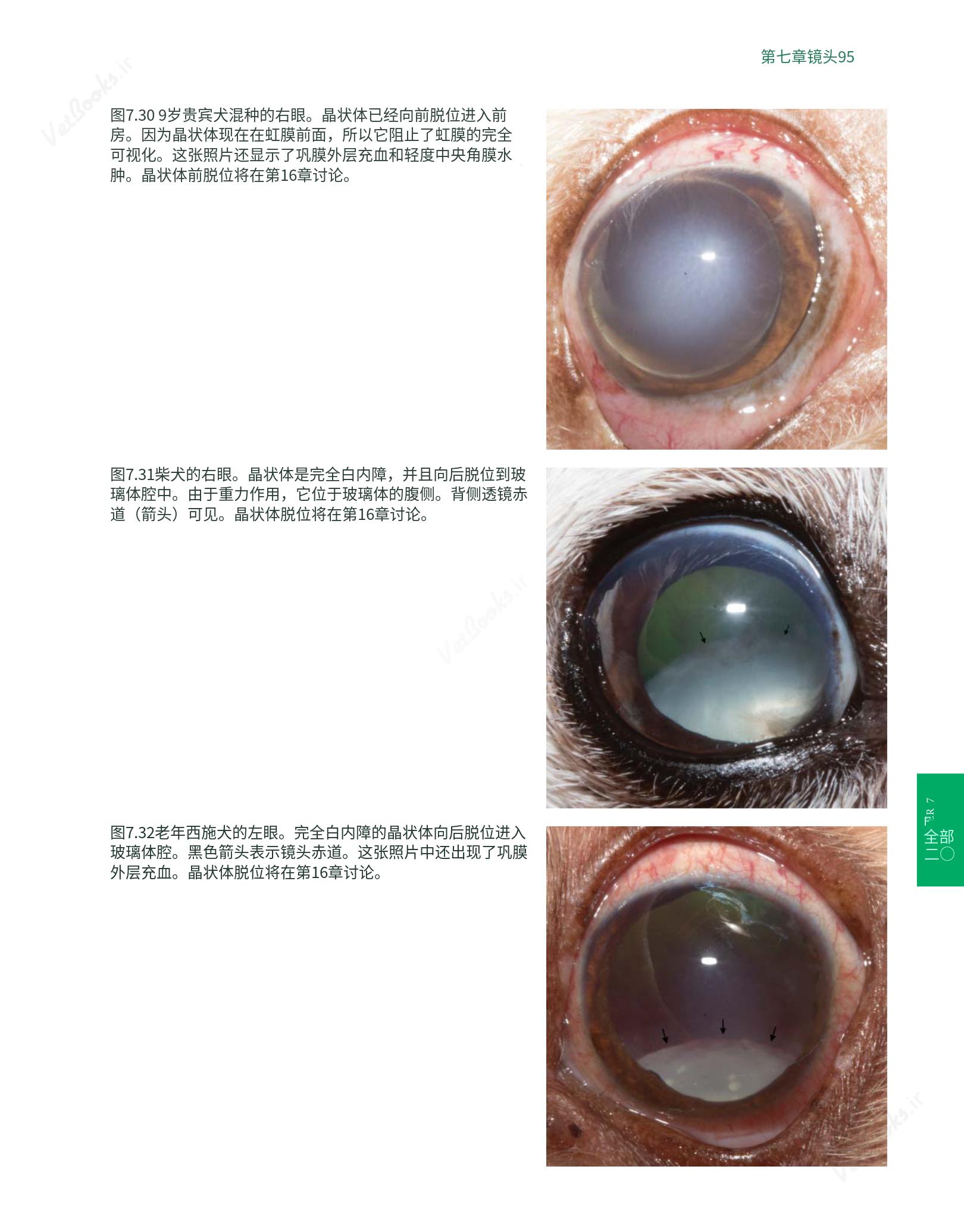 translated.8d36d370b5854e5687dea4520313d3b9_119.png