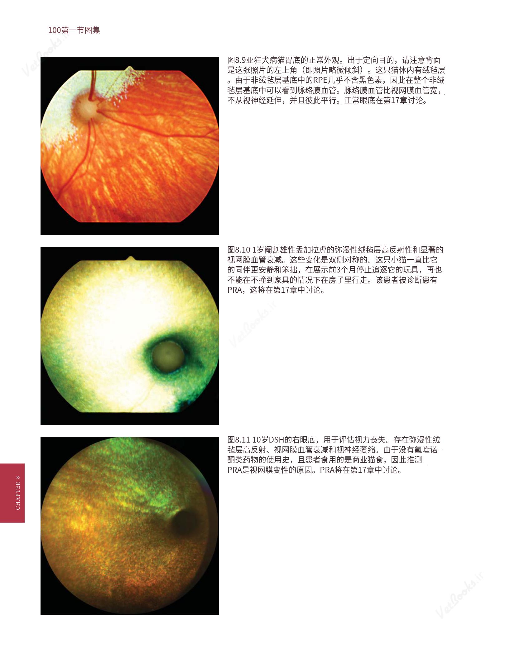 translated.8d36d370b5854e5687dea4520313d3b9_124.png