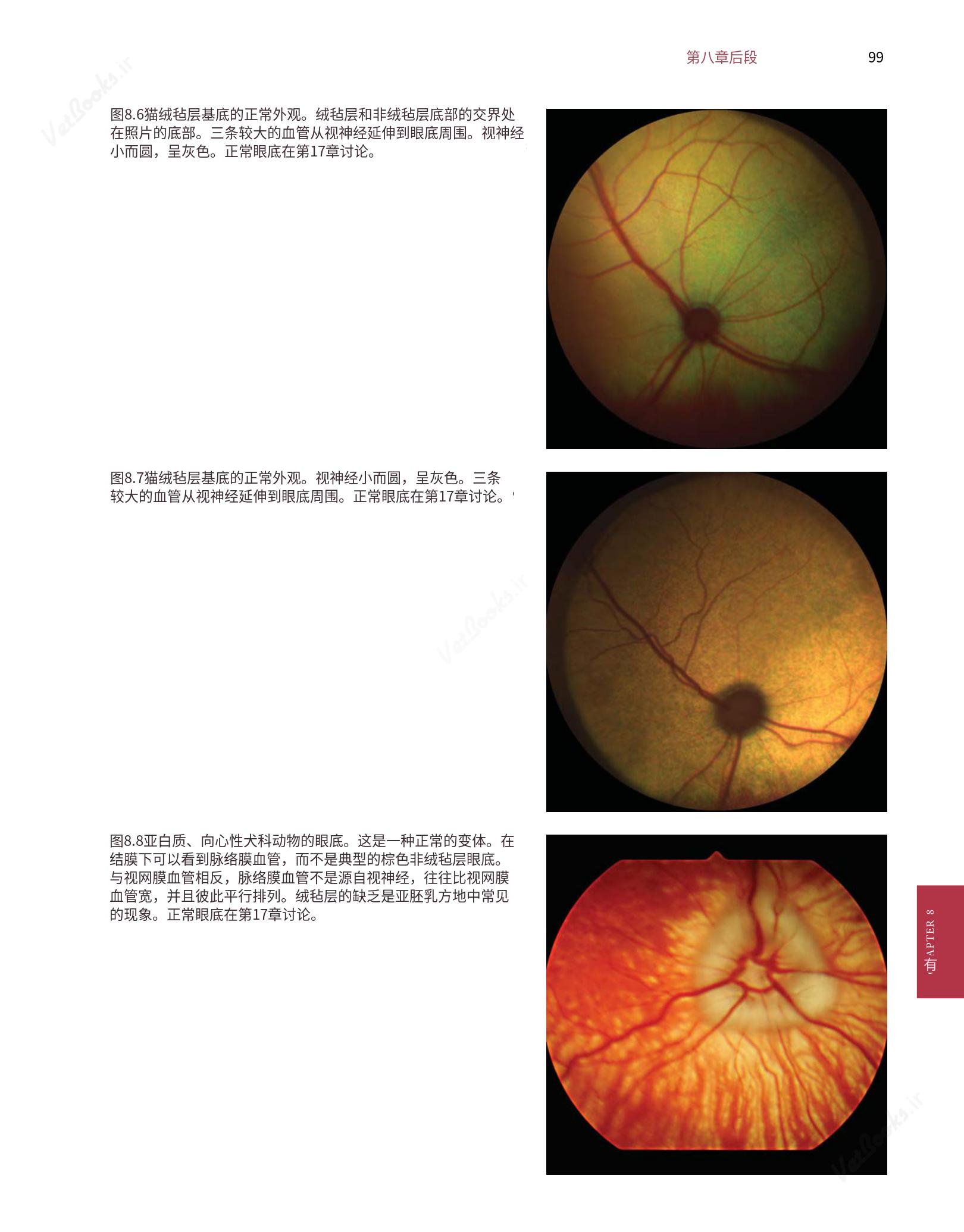 translated.8d36d370b5854e5687dea4520313d3b9_123.png
