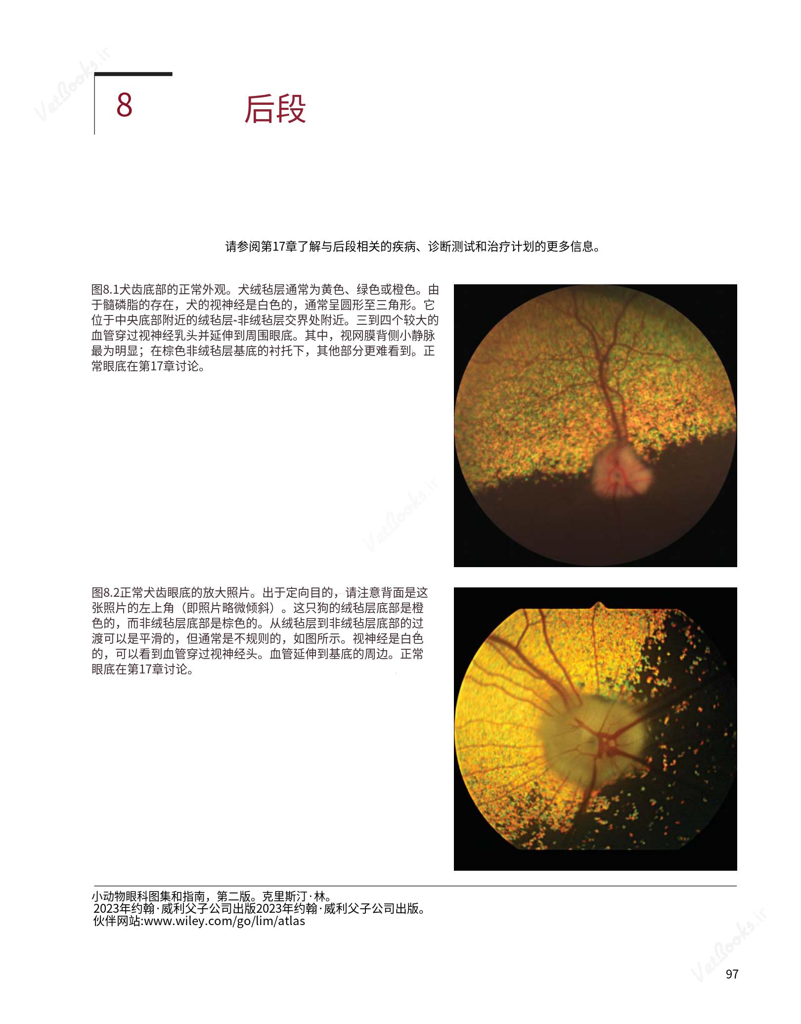 translated.8d36d370b5854e5687dea4520313d3b9_121.png