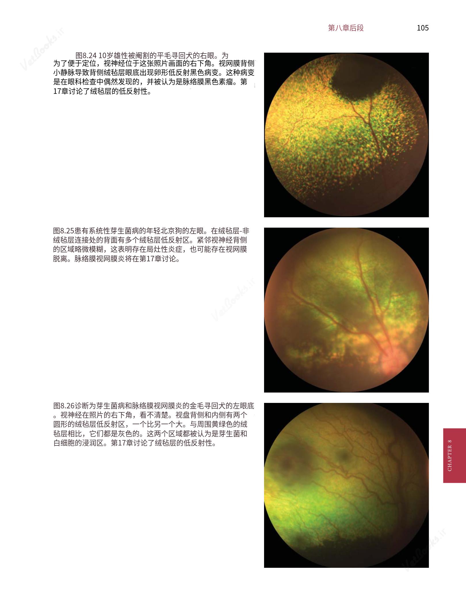 translated.8d36d370b5854e5687dea4520313d3b9_129.png