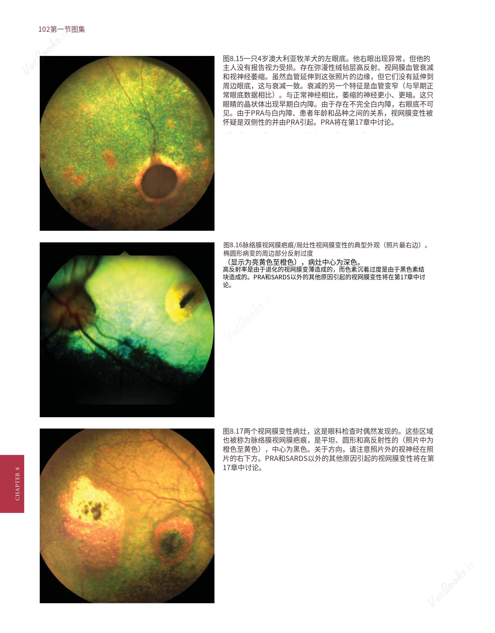 translated.8d36d370b5854e5687dea4520313d3b9_126.png