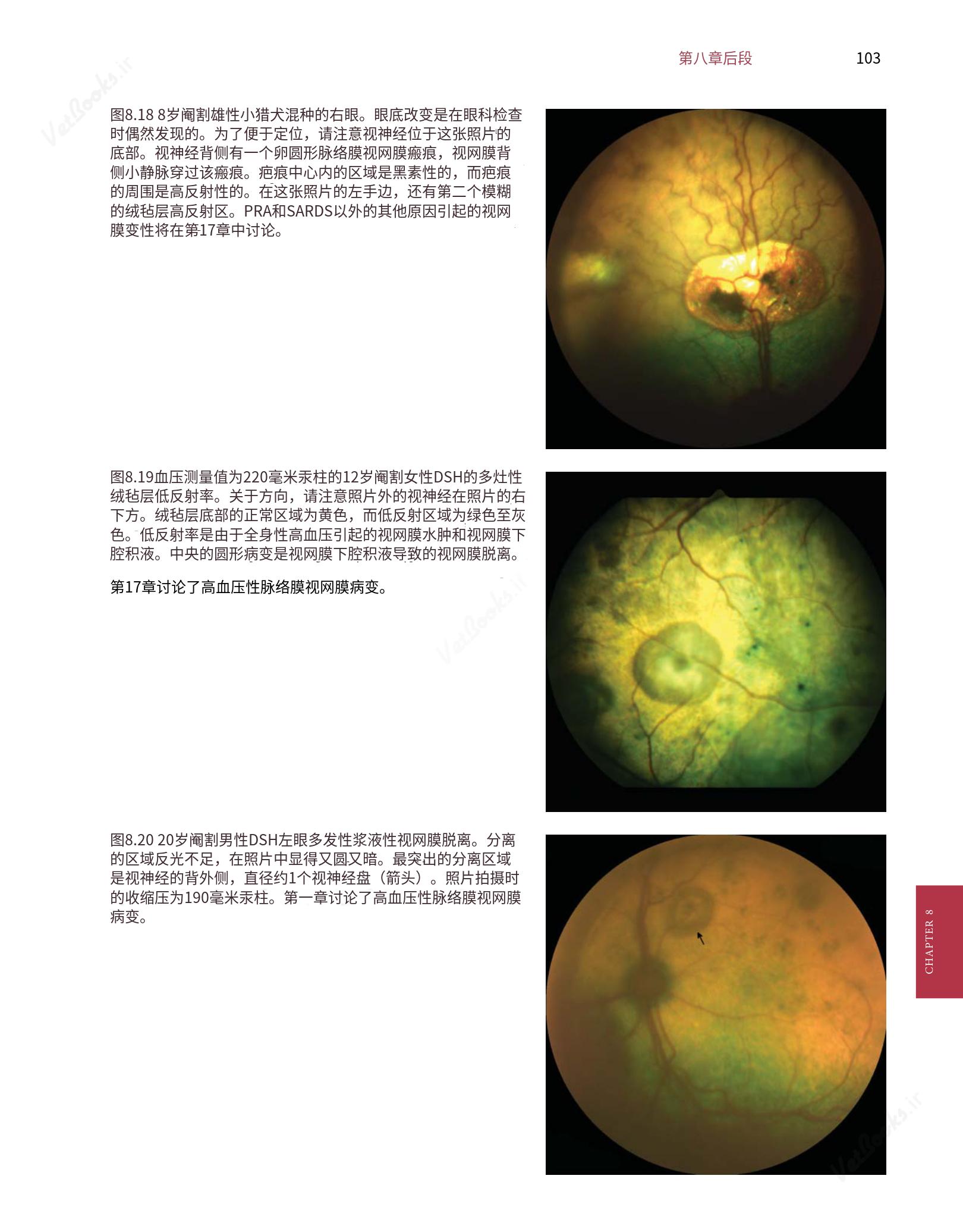 translated.8d36d370b5854e5687dea4520313d3b9_127.png