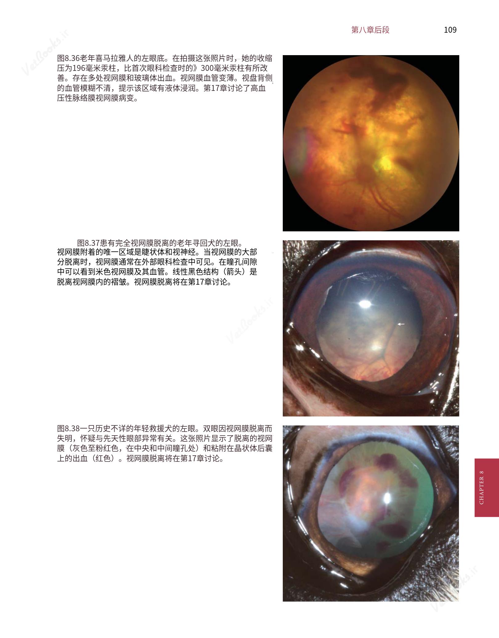 translated.8d36d370b5854e5687dea4520313d3b9_133.png