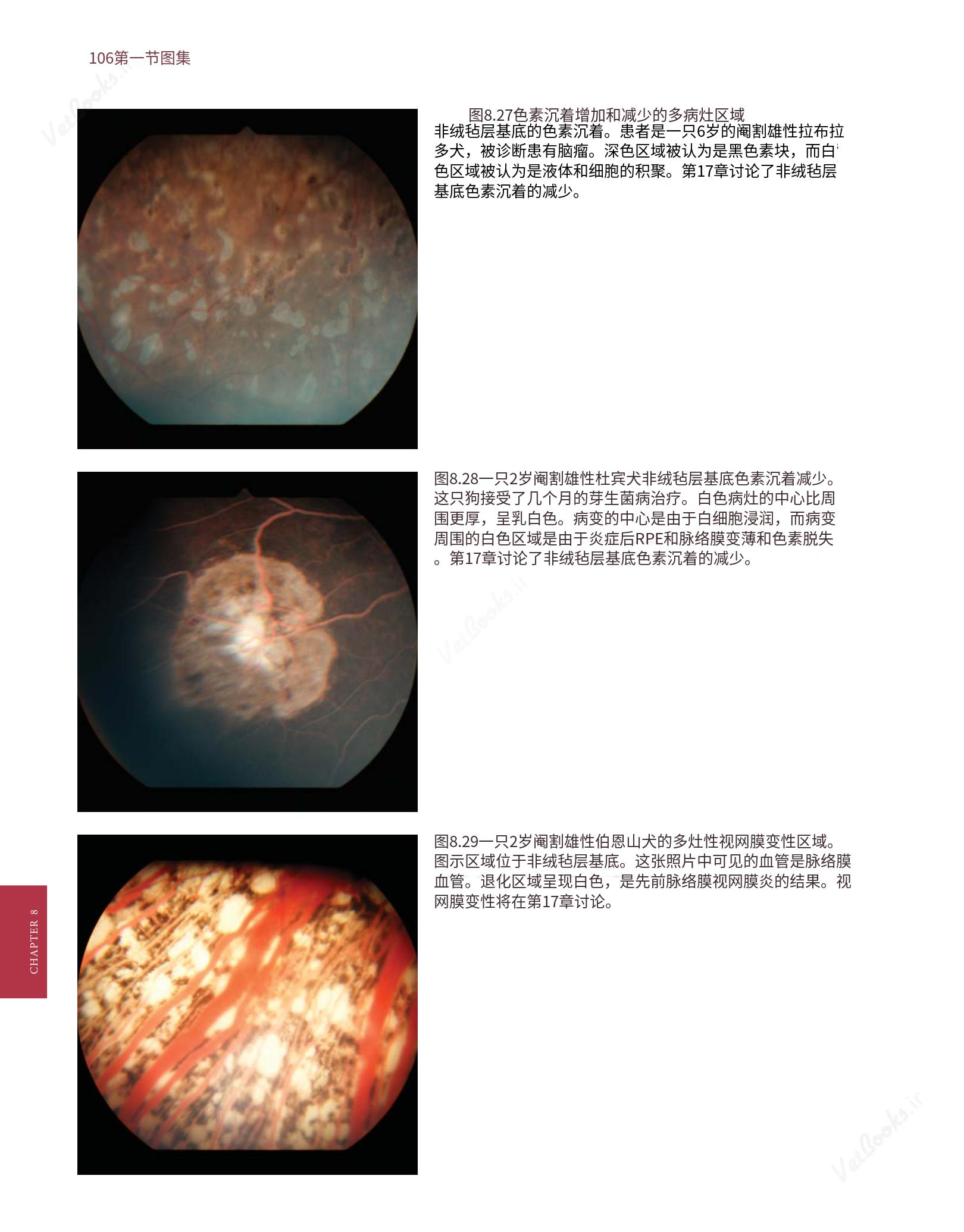 translated.8d36d370b5854e5687dea4520313d3b9_130.png