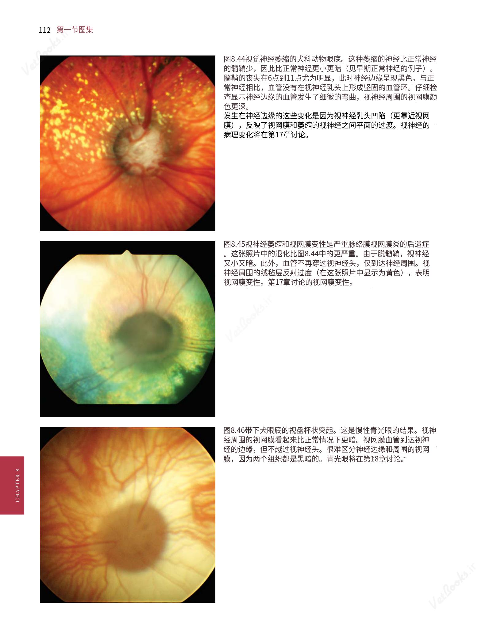 translated.8d36d370b5854e5687dea4520313d3b9_136.png
