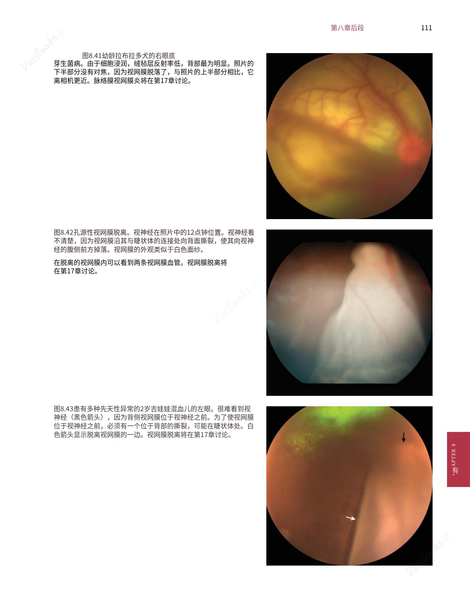 translated.8d36d370b5854e5687dea4520313d3b9_135.png