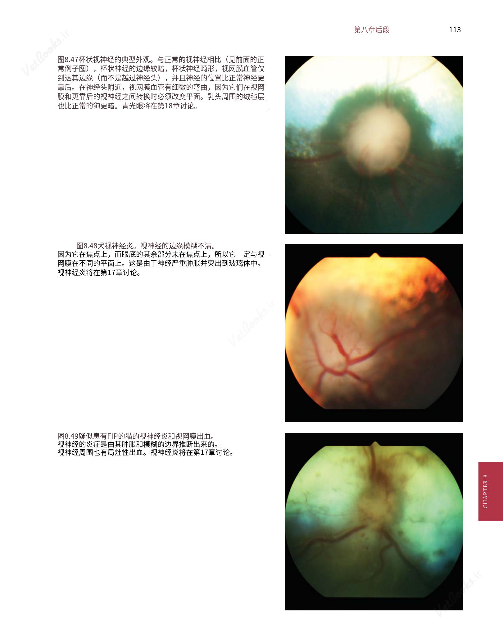 translated.8d36d370b5854e5687dea4520313d3b9_137.png