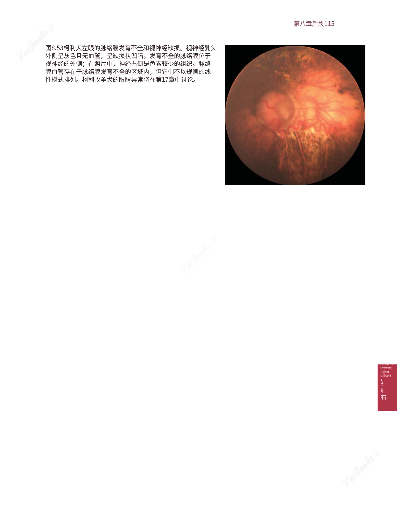 translated.8d36d370b5854e5687dea4520313d3b9_139.png