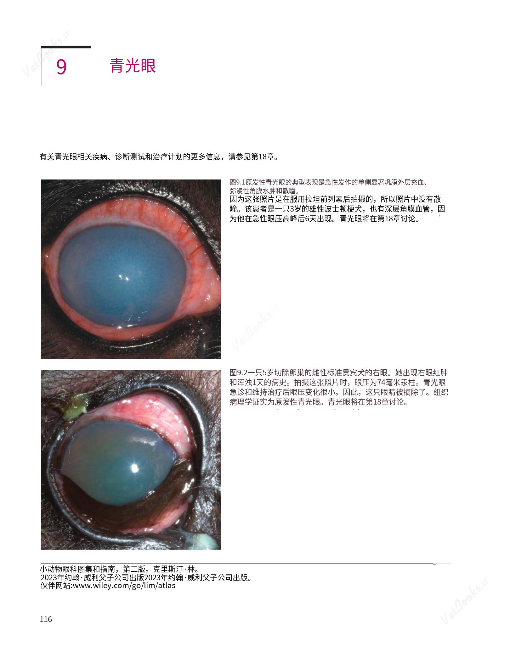 translated.8d36d370b5854e5687dea4520313d3b9_140.png