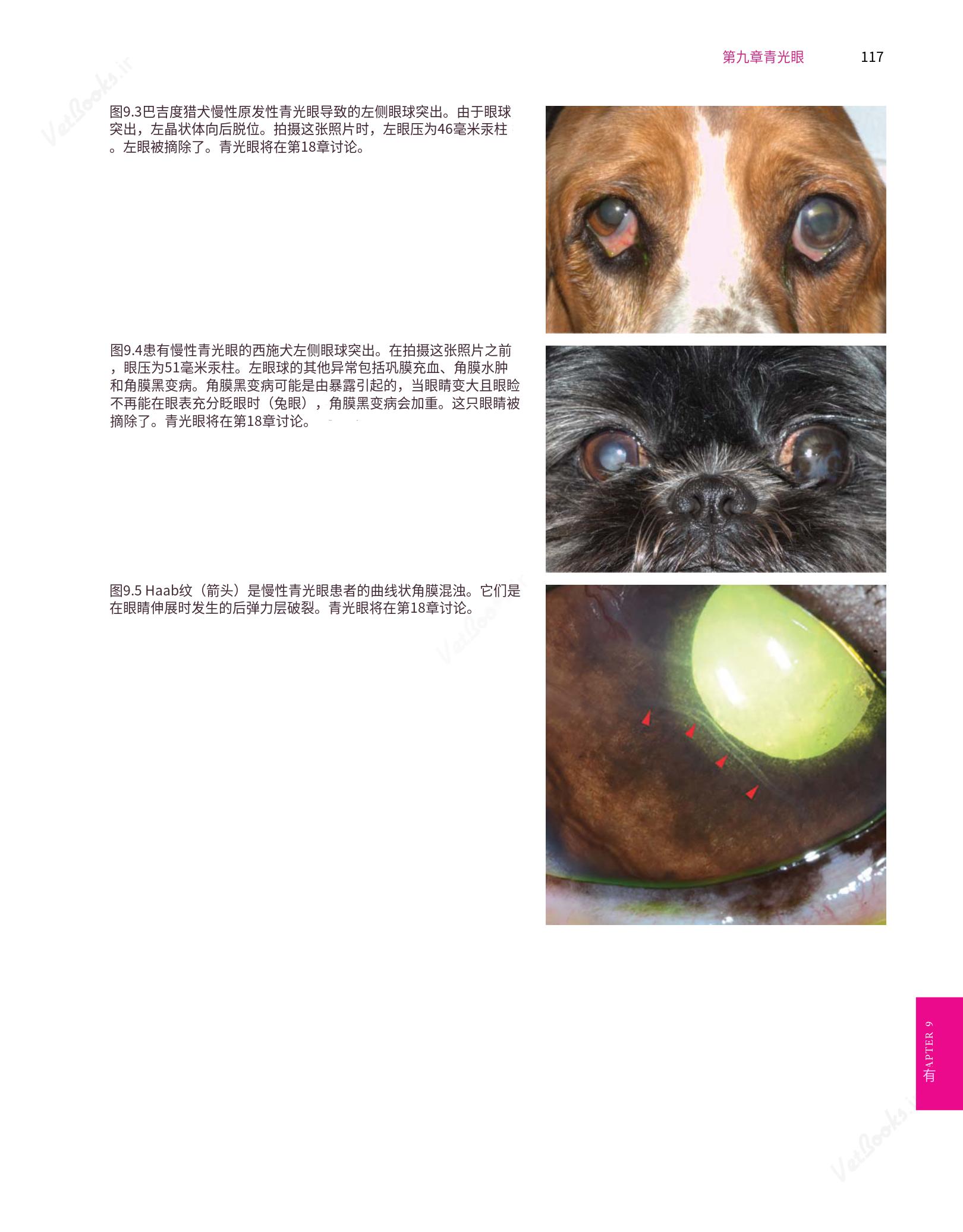 translated.8d36d370b5854e5687dea4520313d3b9_141.png