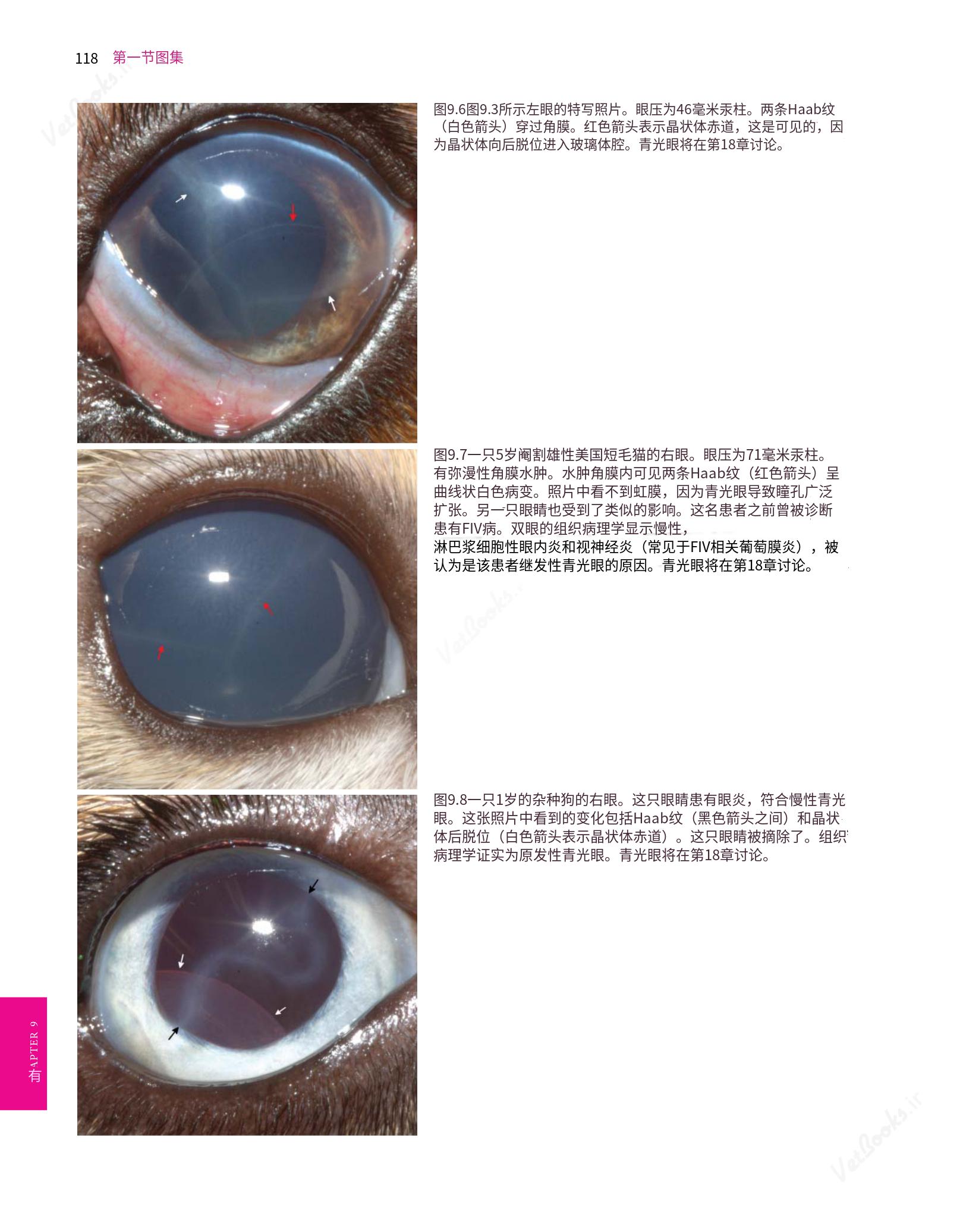 translated.8d36d370b5854e5687dea4520313d3b9_142.png