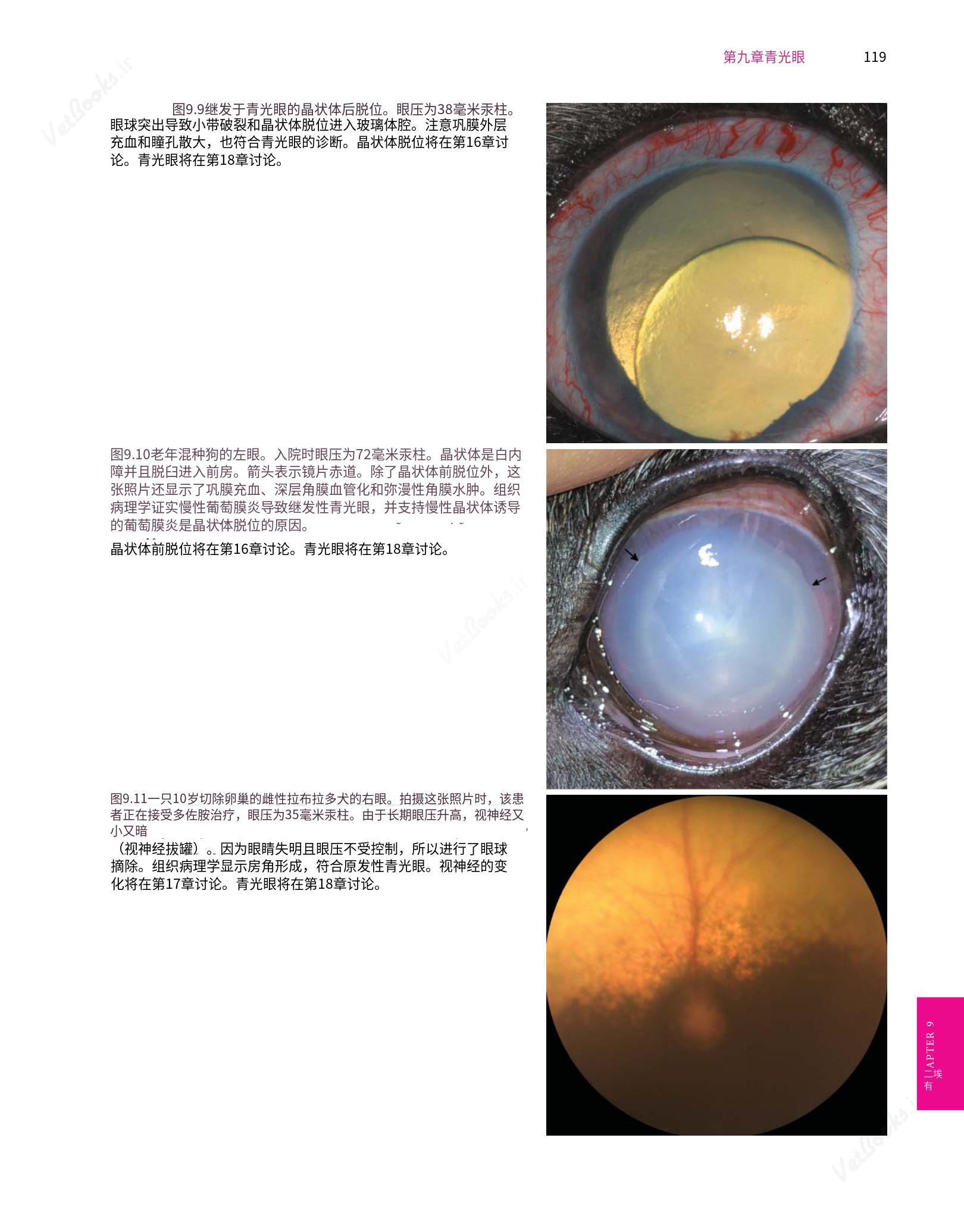 translated.8d36d370b5854e5687dea4520313d3b9_143.png