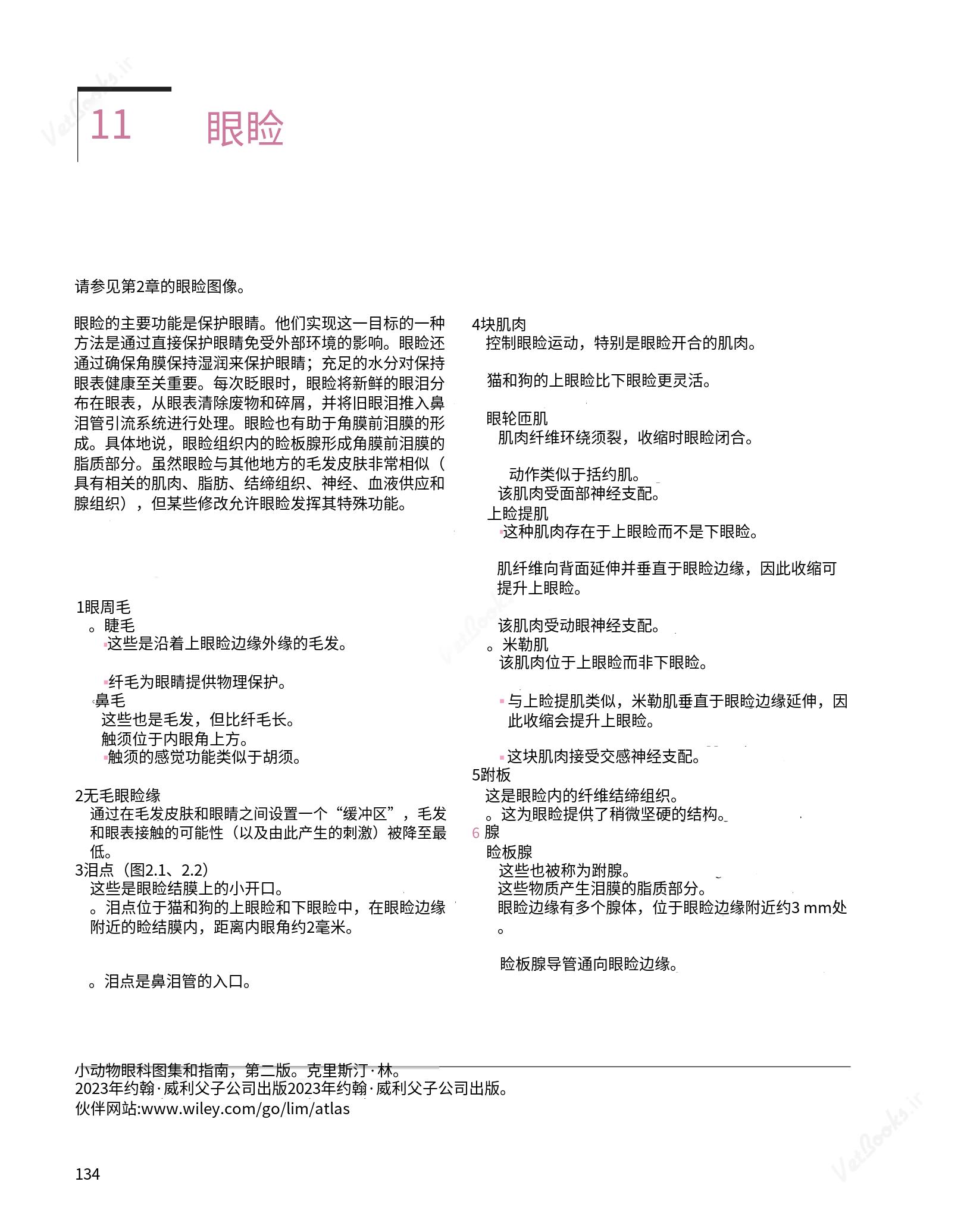 translated.8d36d370b5854e5687dea4520313d3b9_158.png