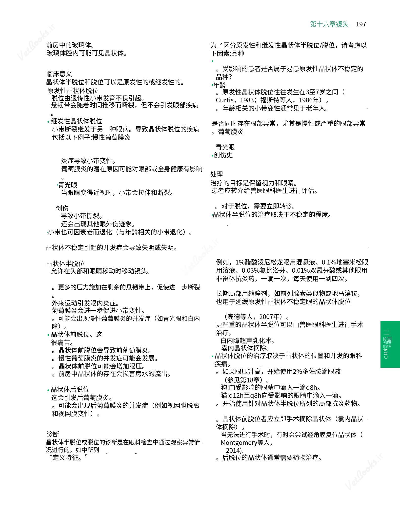 translated.8d36d370b5854e5687dea4520313d3b9_221.png