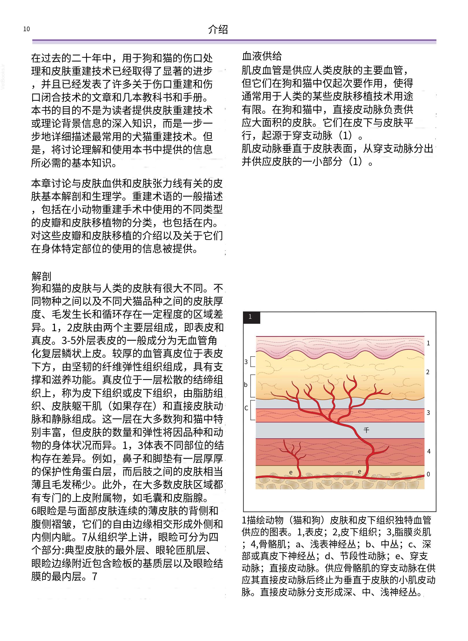 translated.a8c5a3760bed415983298318b0ec0541_11.png