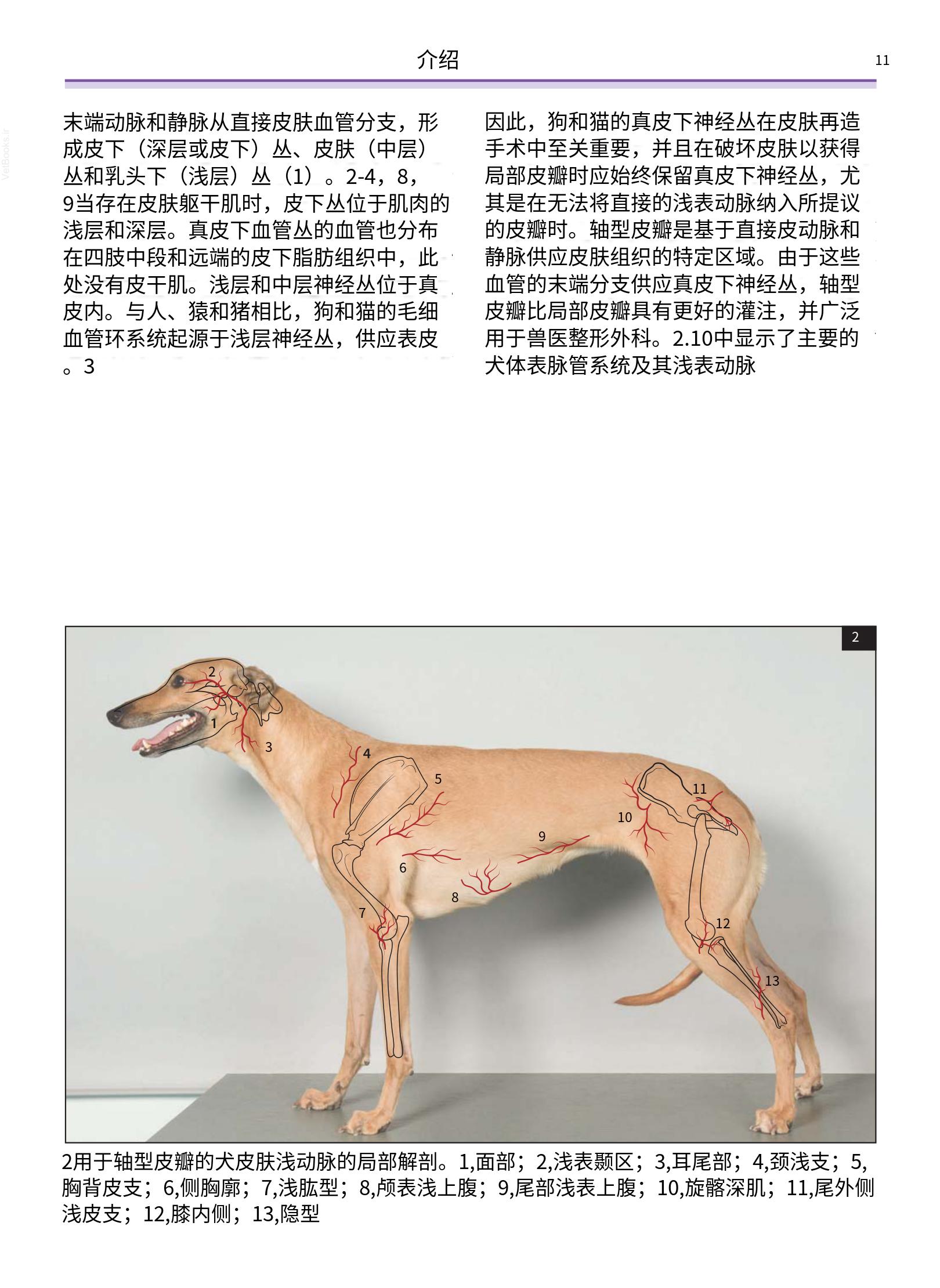translated.a8c5a3760bed415983298318b0ec0541_12.png