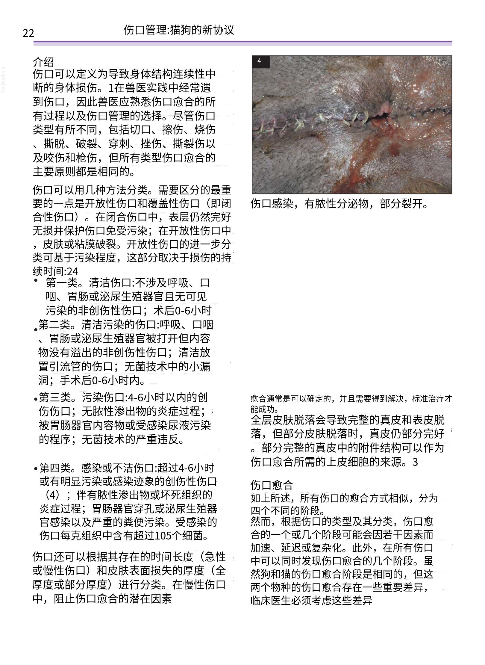 translated.a8c5a3760bed415983298318b0ec0541_23.png