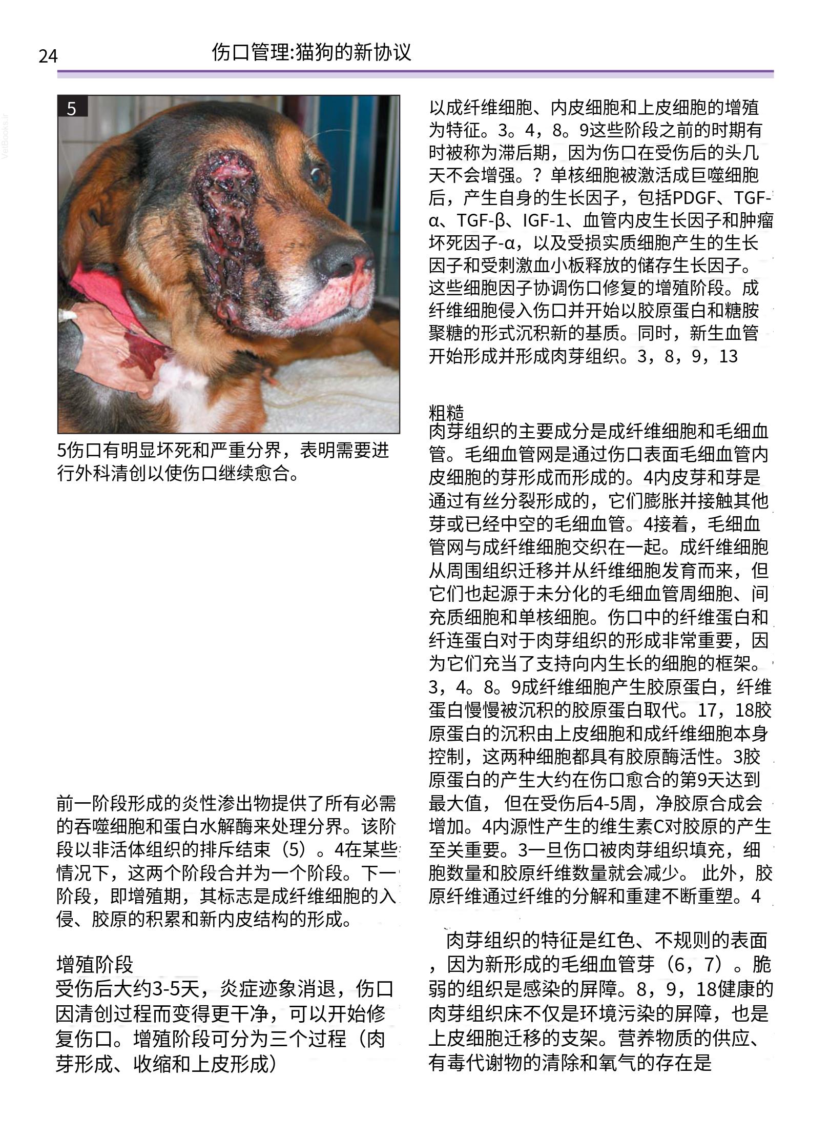 translated.a8c5a3760bed415983298318b0ec0541_25.png