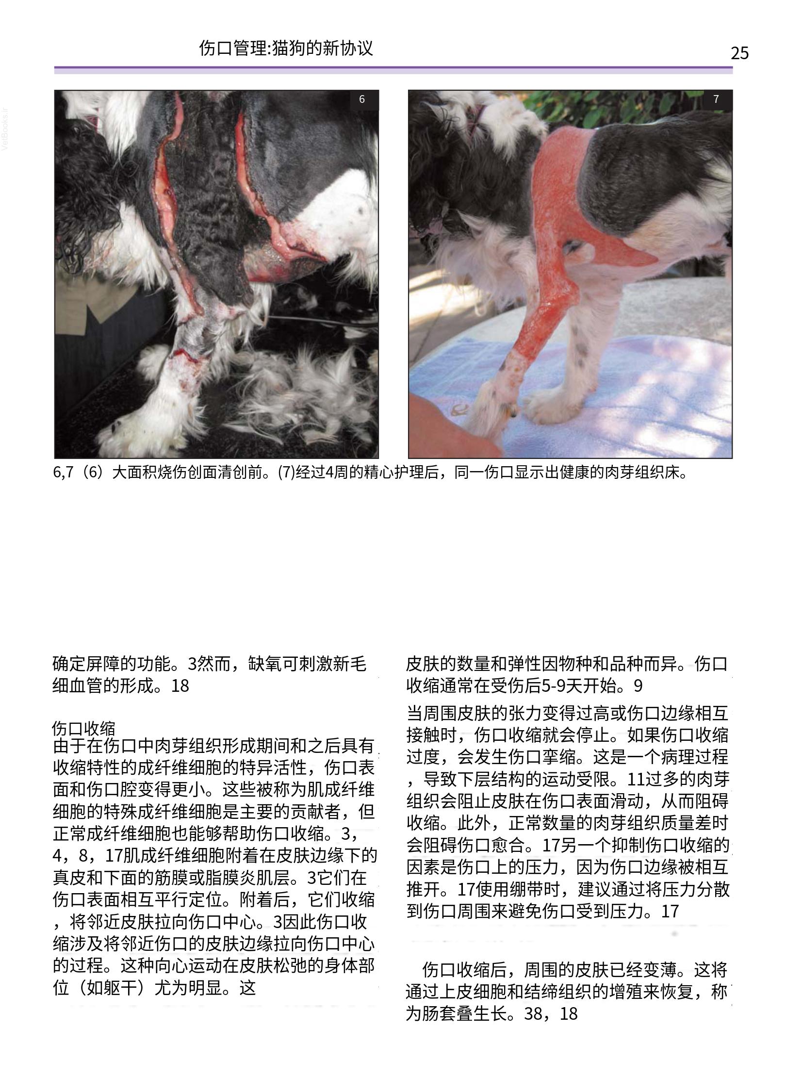 translated.a8c5a3760bed415983298318b0ec0541_26.png