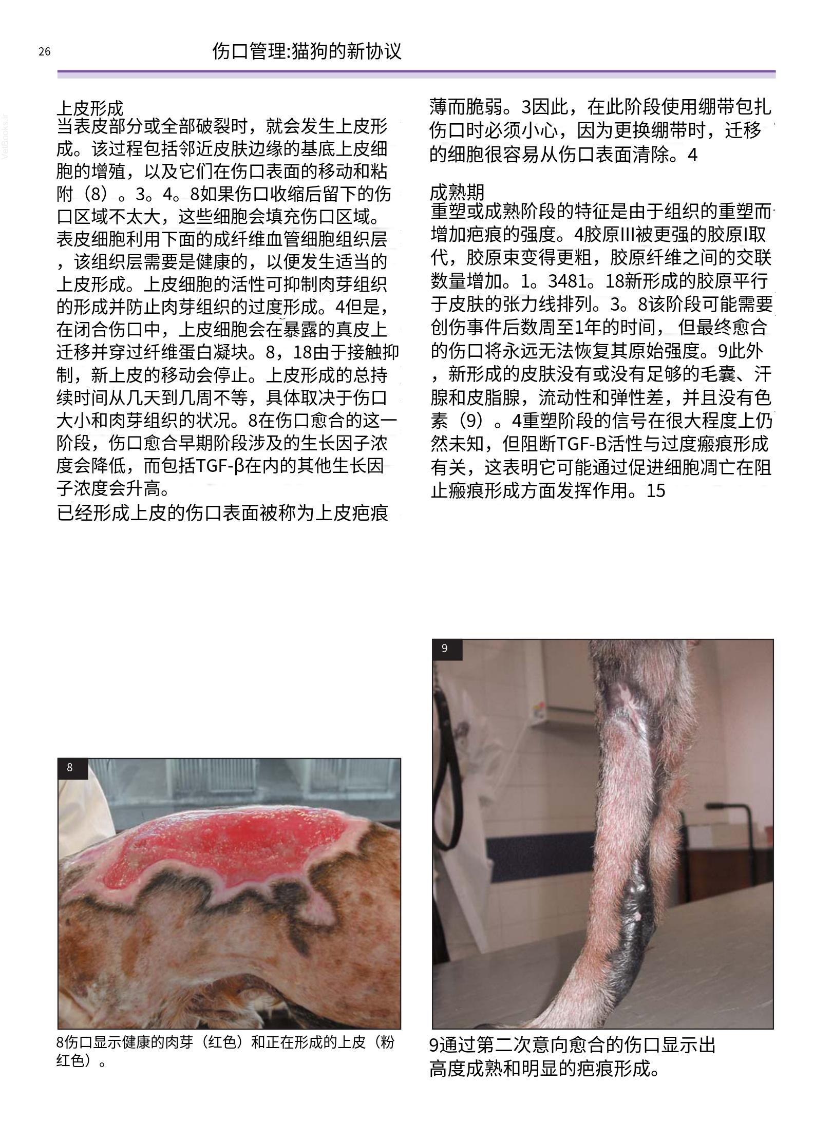 translated.a8c5a3760bed415983298318b0ec0541_27.png