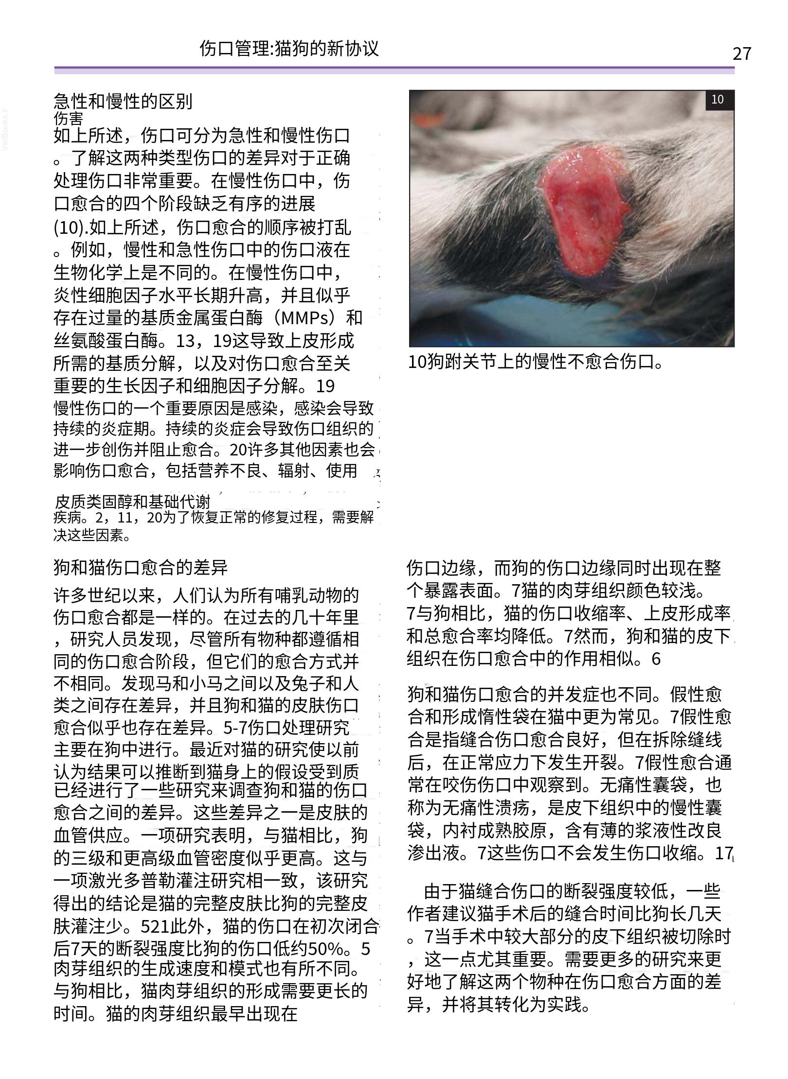 translated.a8c5a3760bed415983298318b0ec0541_28.png