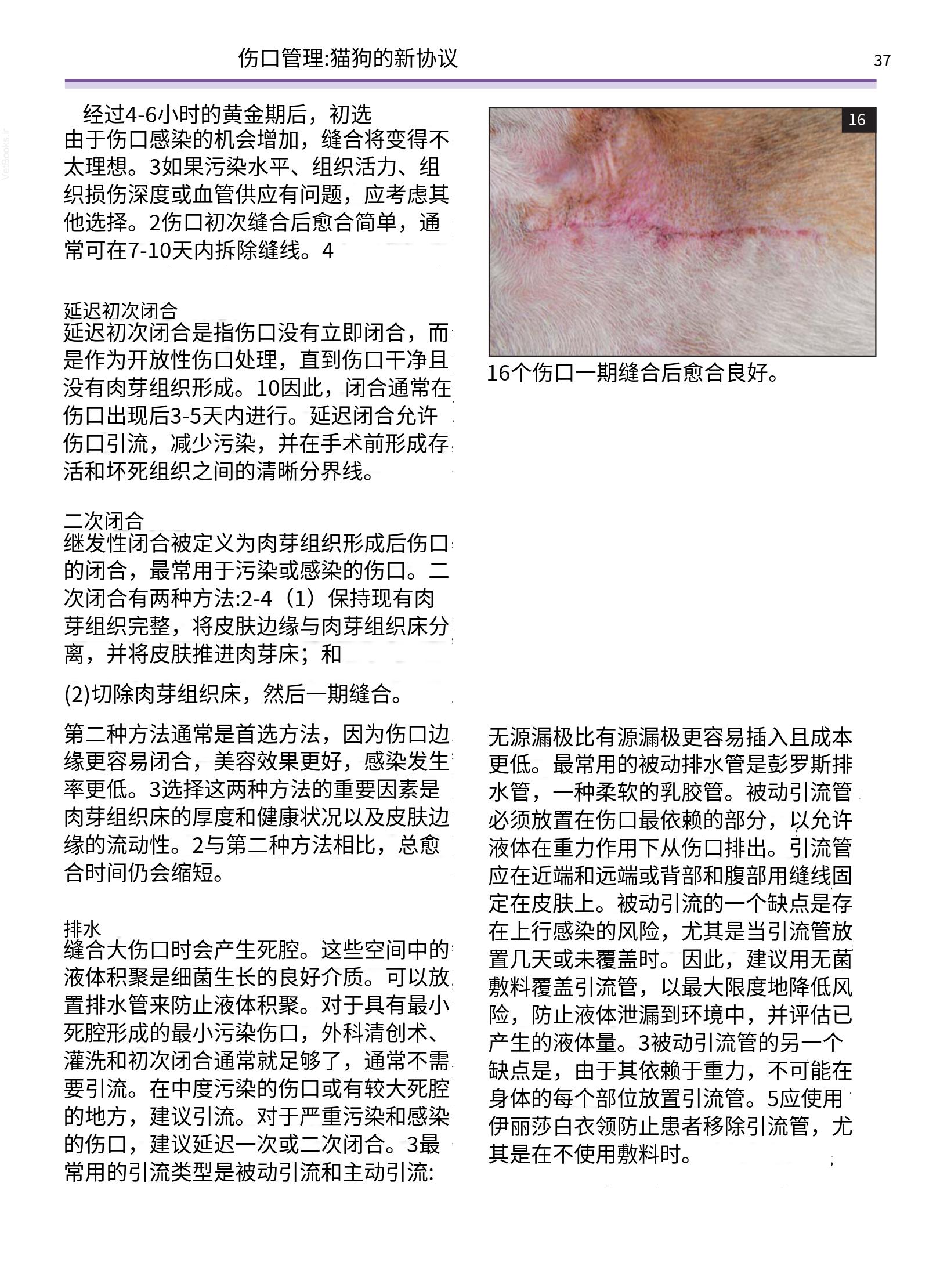 translated.a8c5a3760bed415983298318b0ec0541_38.png