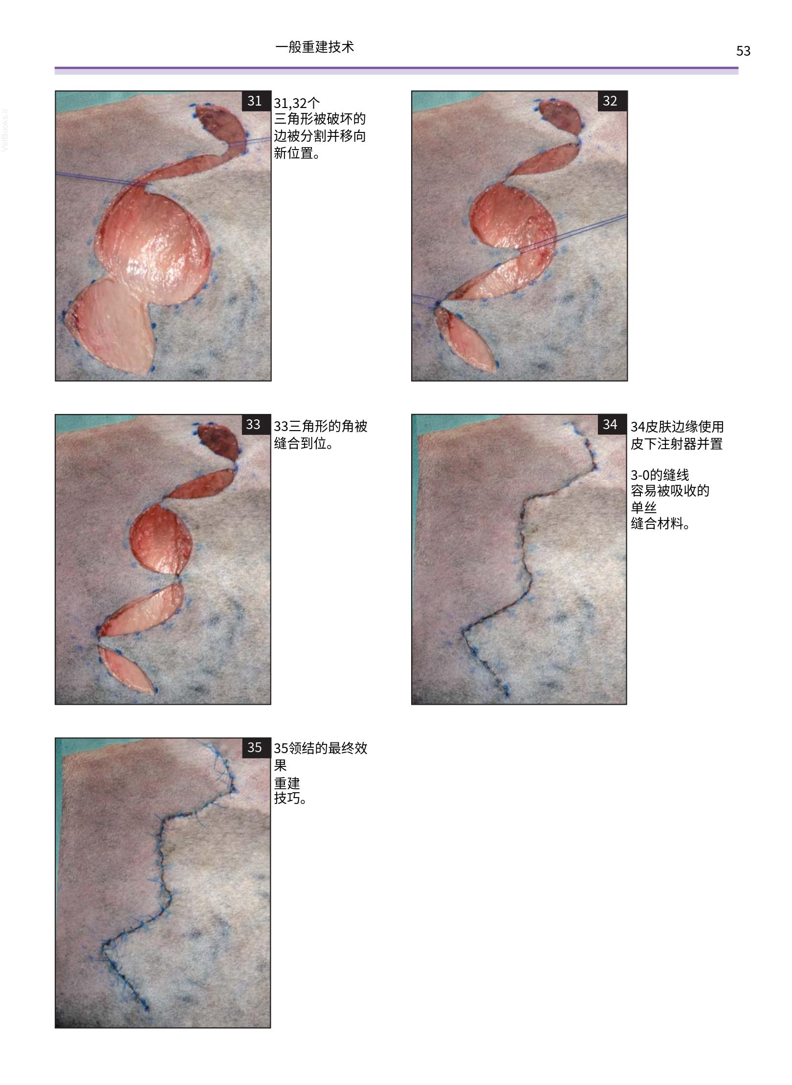 translated.a8c5a3760bed415983298318b0ec0541_54.png