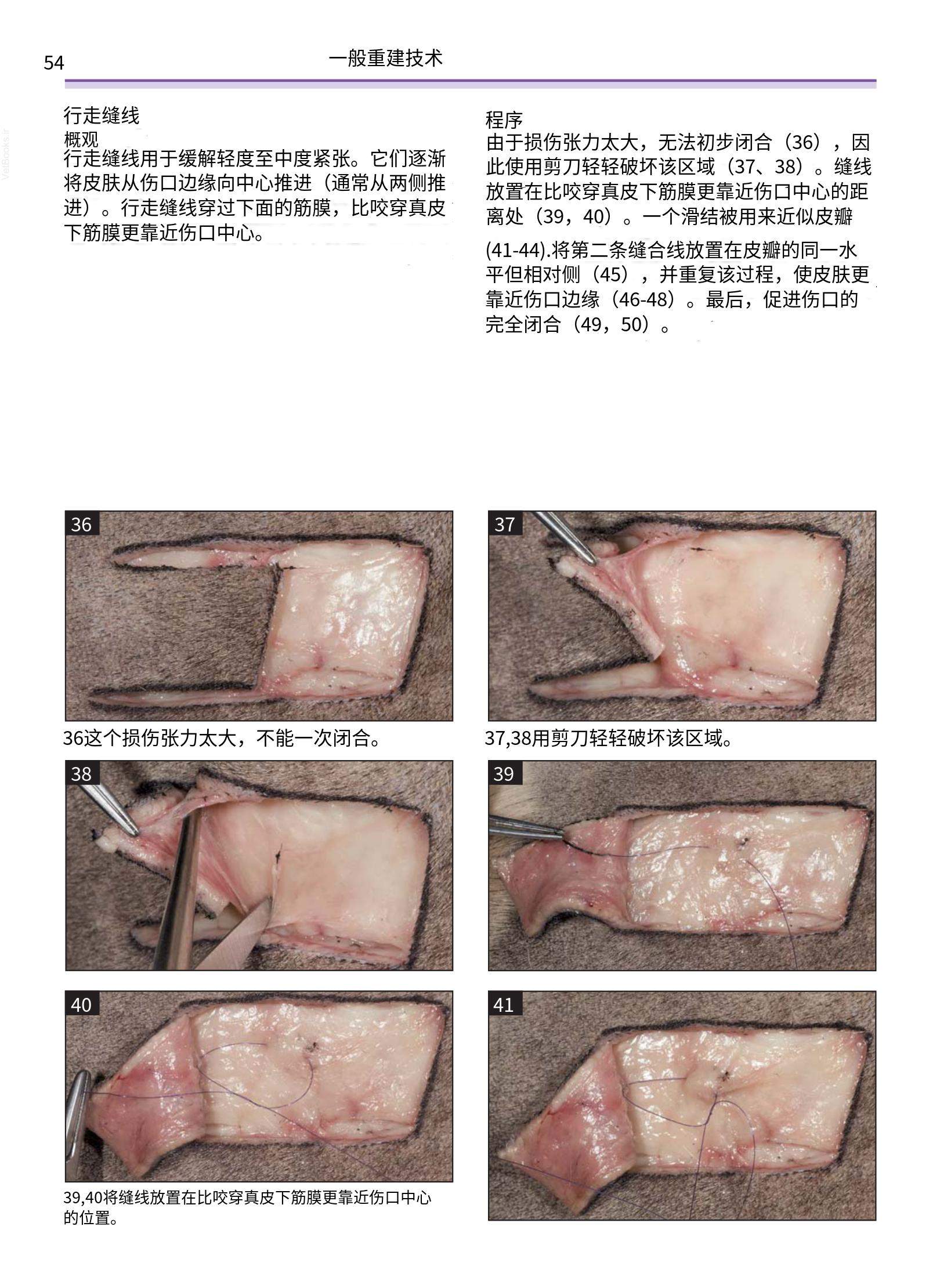 translated.a8c5a3760bed415983298318b0ec0541_55.png