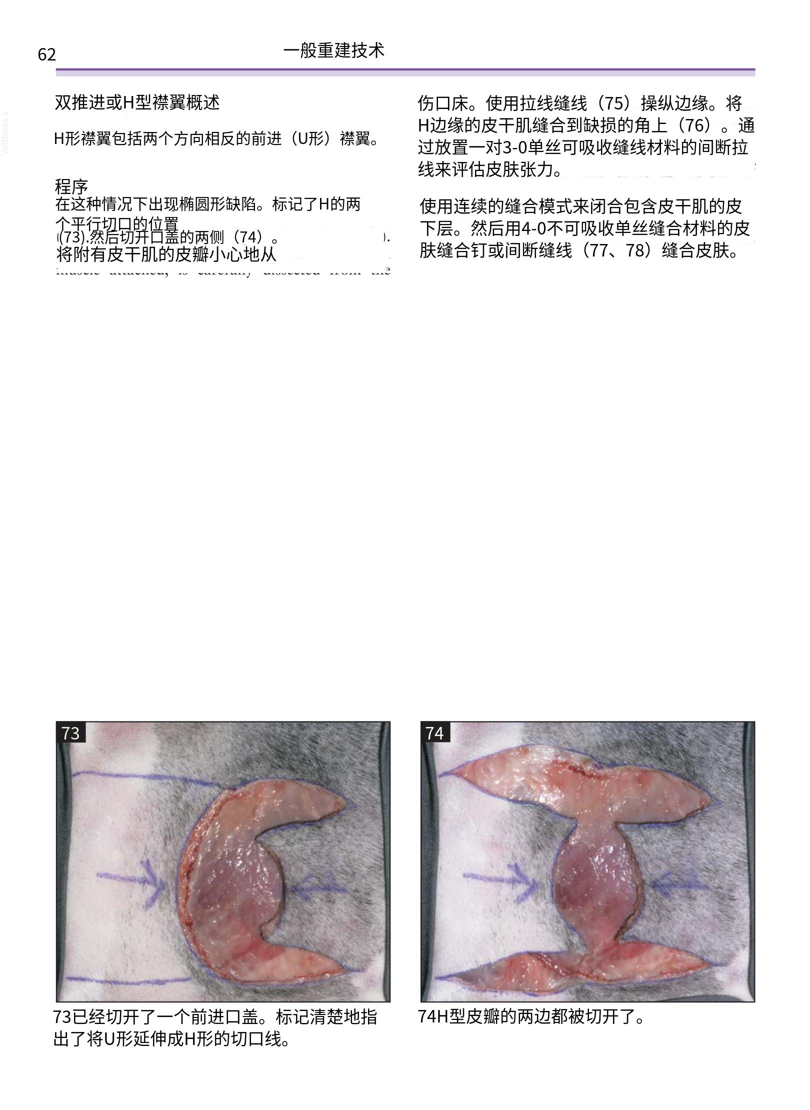 translated.a8c5a3760bed415983298318b0ec0541_63.png