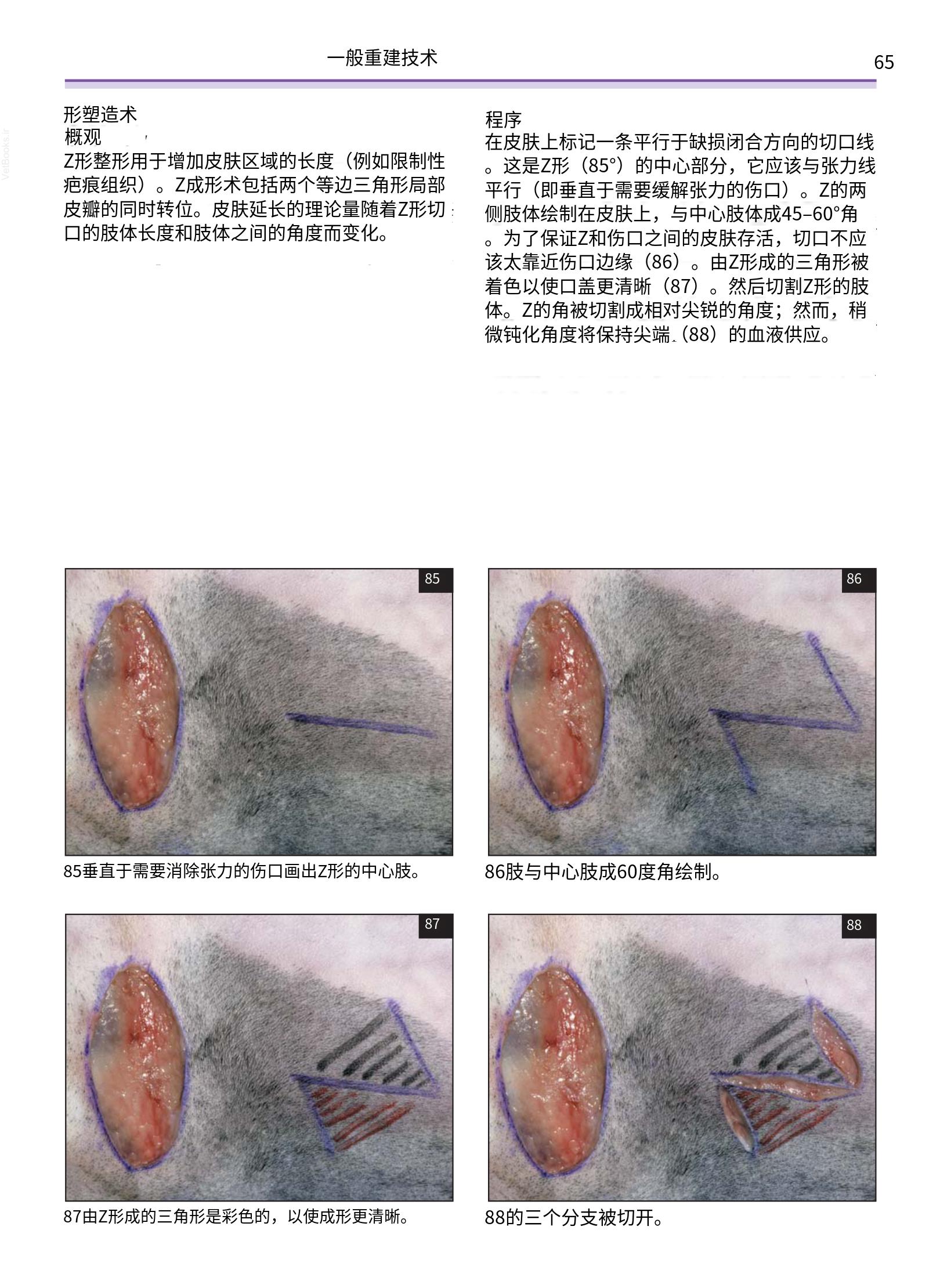 translated.a8c5a3760bed415983298318b0ec0541_66.png