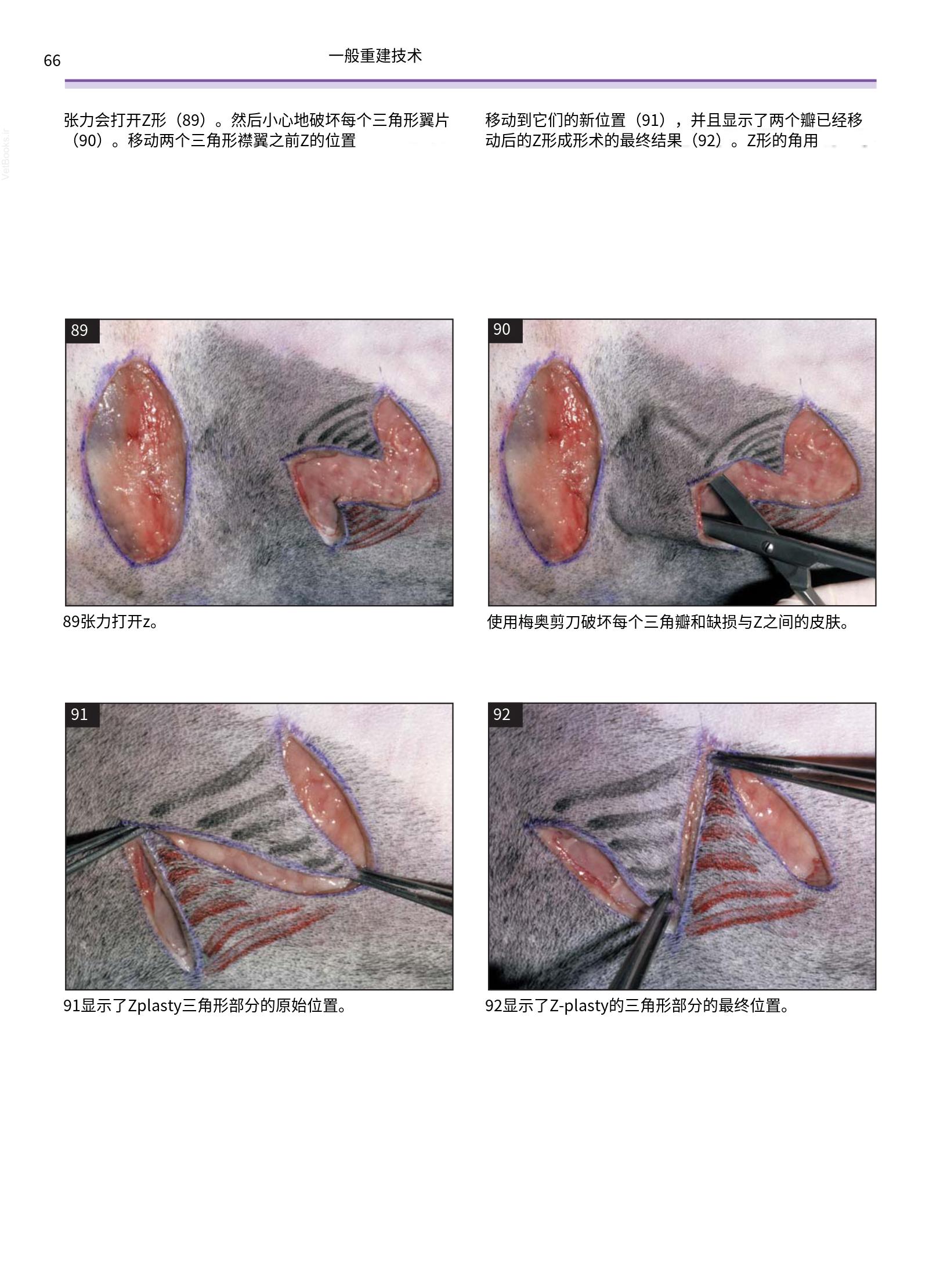 translated.a8c5a3760bed415983298318b0ec0541_67.png