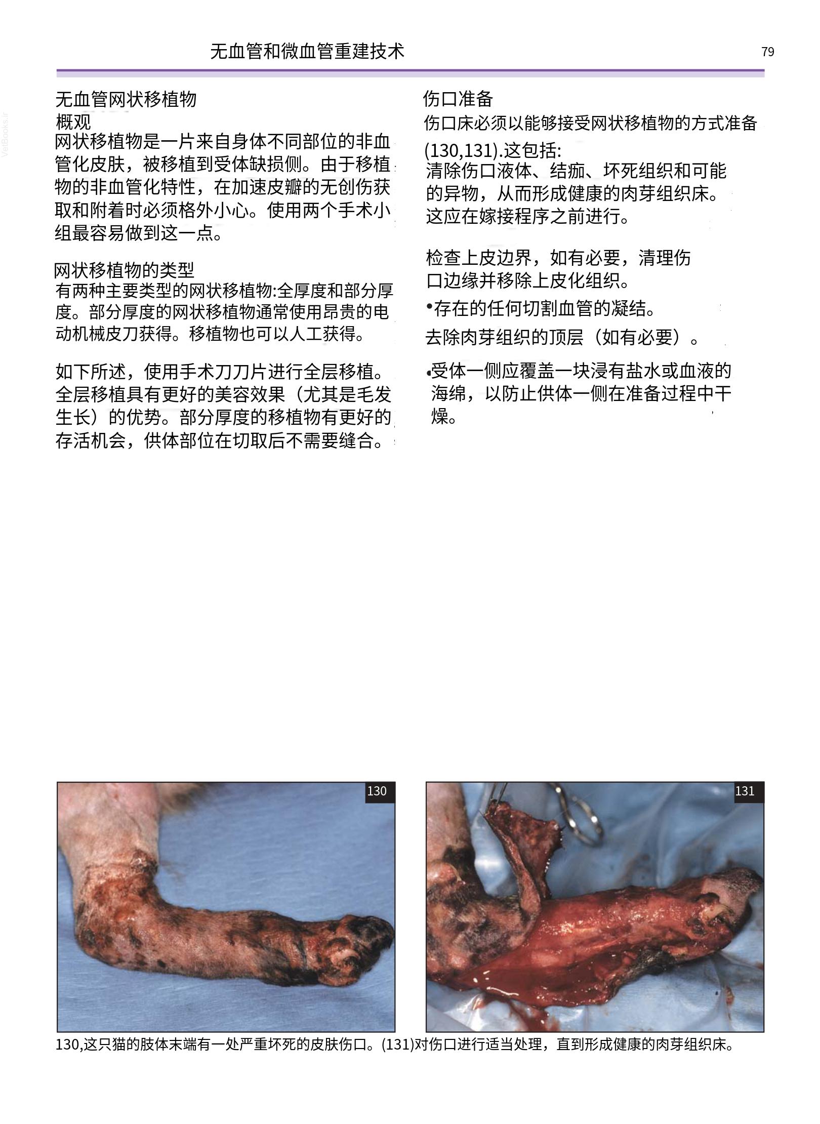 translated.a8c5a3760bed415983298318b0ec0541_80.png