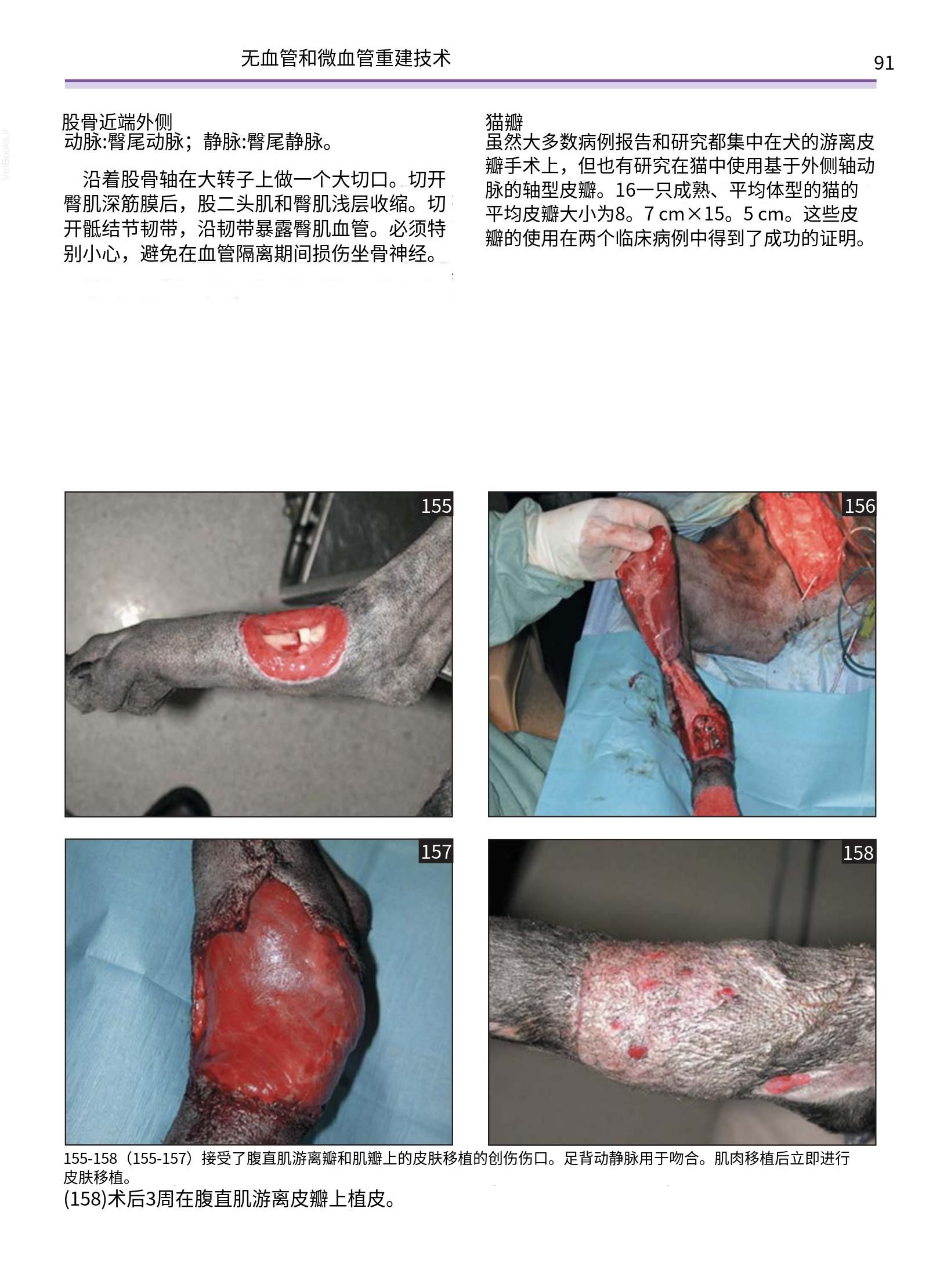 translated.a8c5a3760bed415983298318b0ec0541_92.png