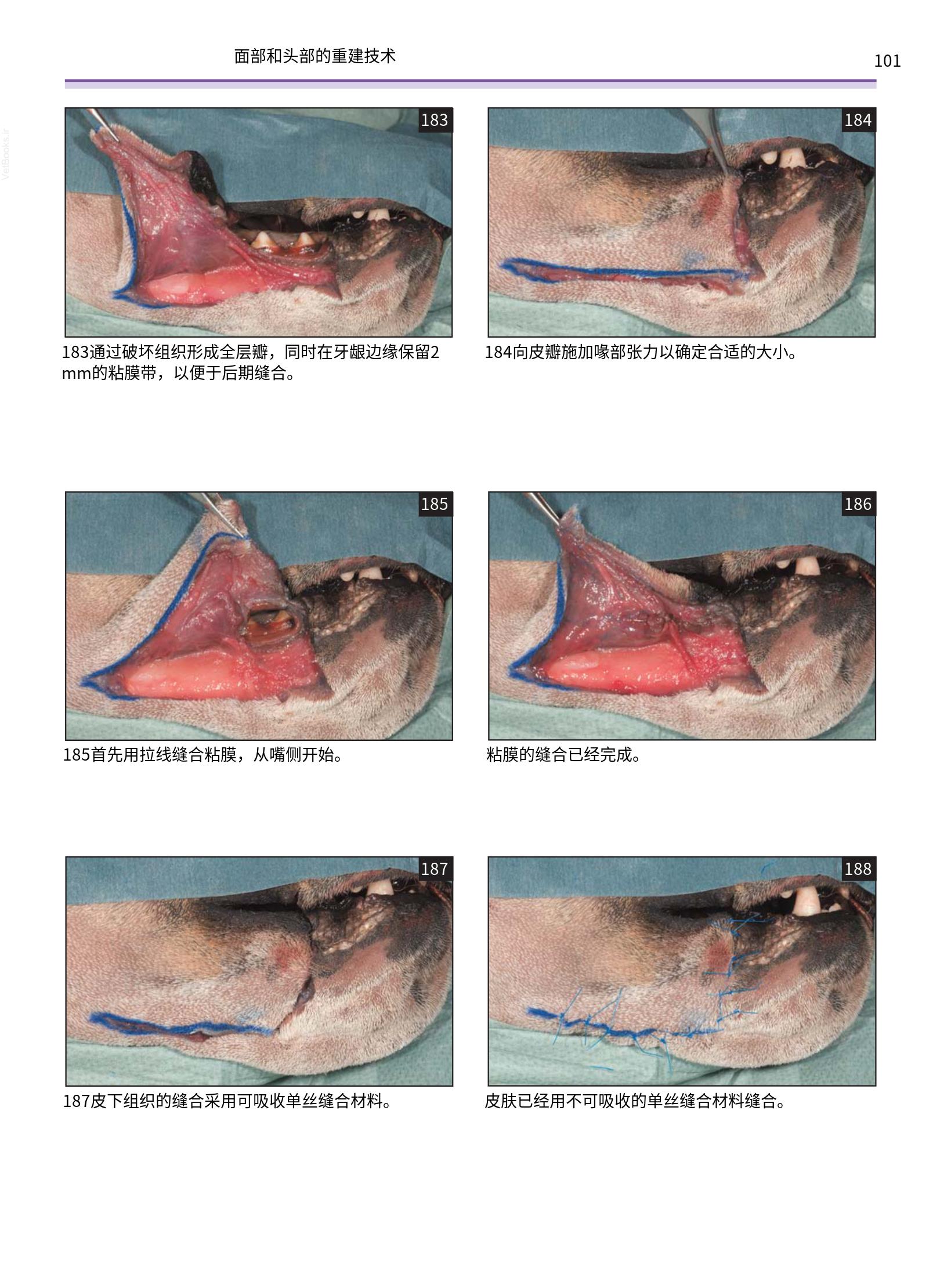translated.a8c5a3760bed415983298318b0ec0541_102.png