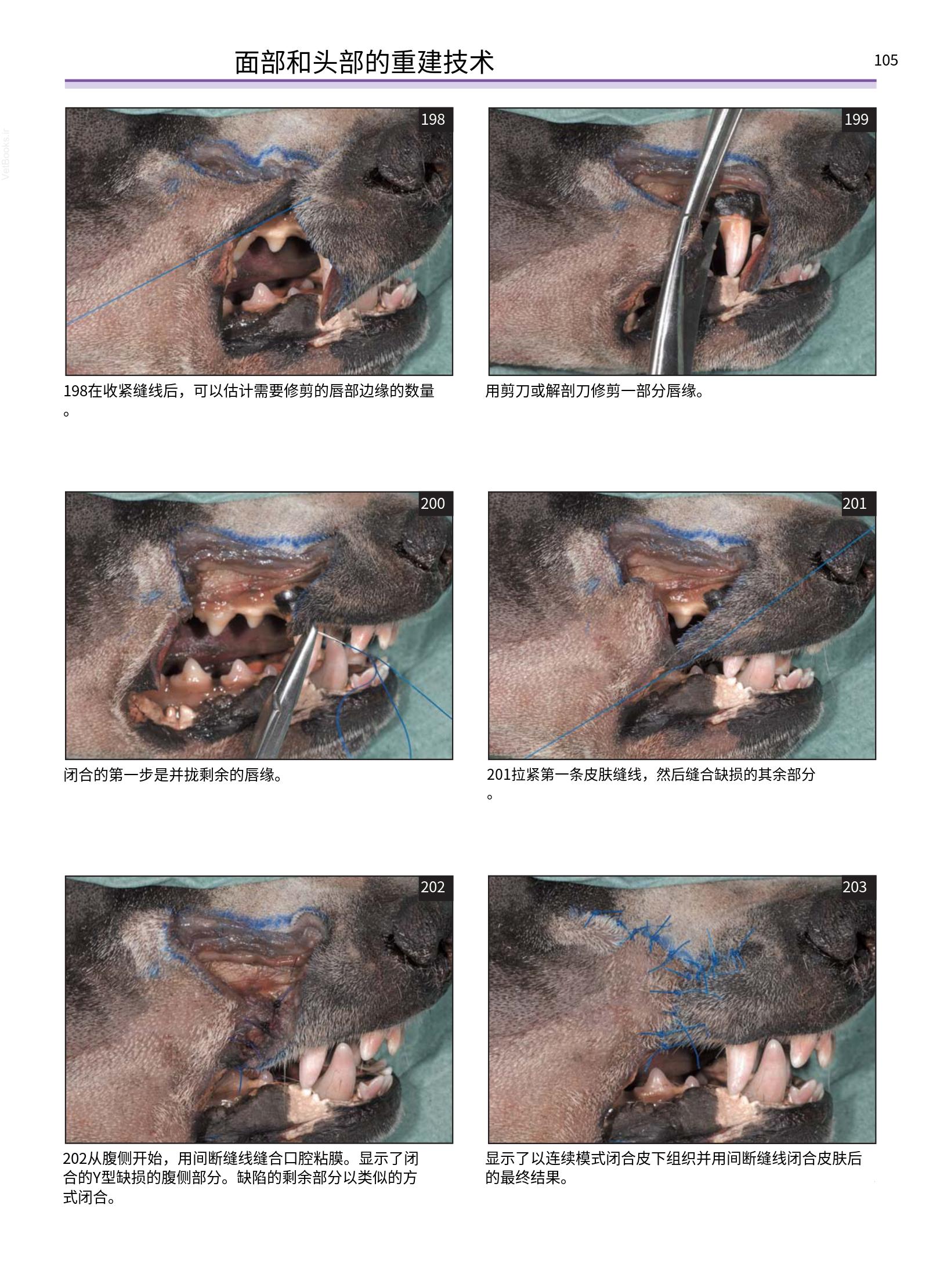 translated.a8c5a3760bed415983298318b0ec0541_106.png
