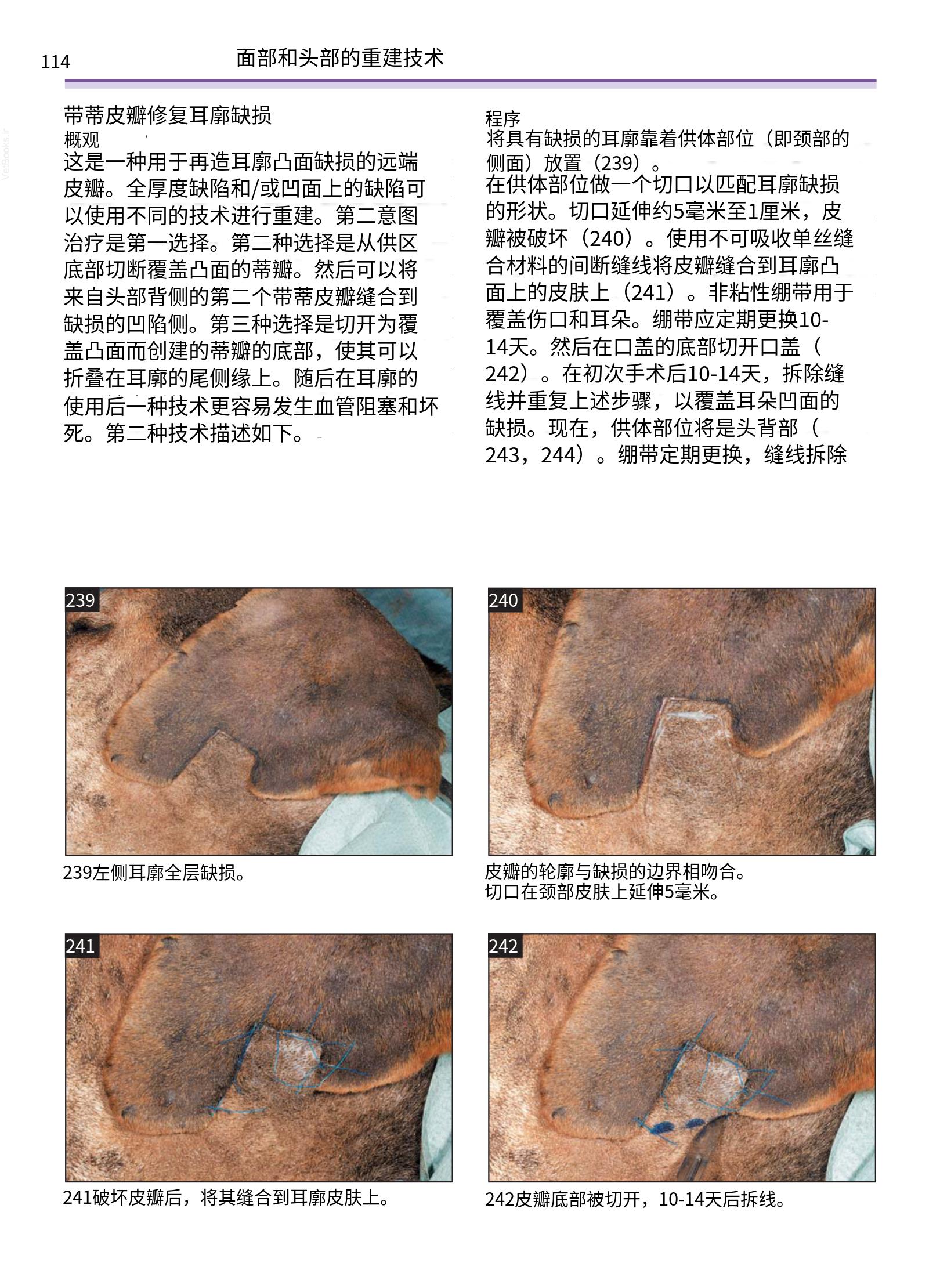 translated.a8c5a3760bed415983298318b0ec0541_115.png