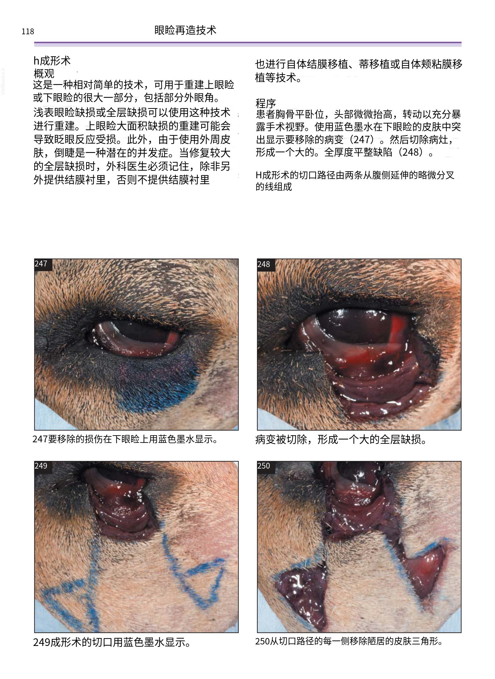 translated.a8c5a3760bed415983298318b0ec0541_119.png