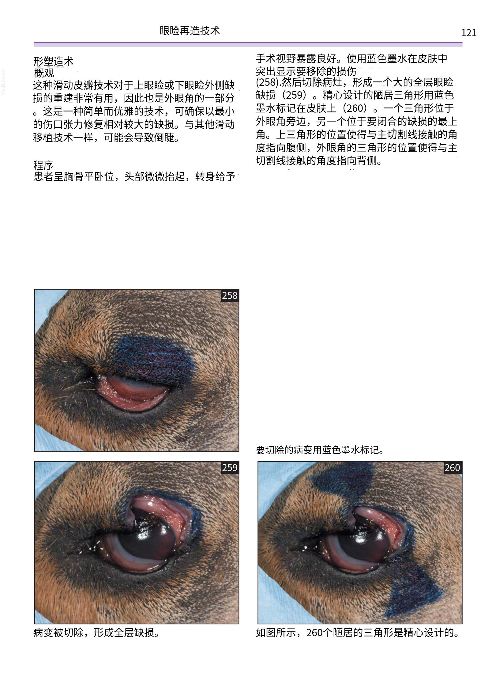 translated.a8c5a3760bed415983298318b0ec0541_122.png