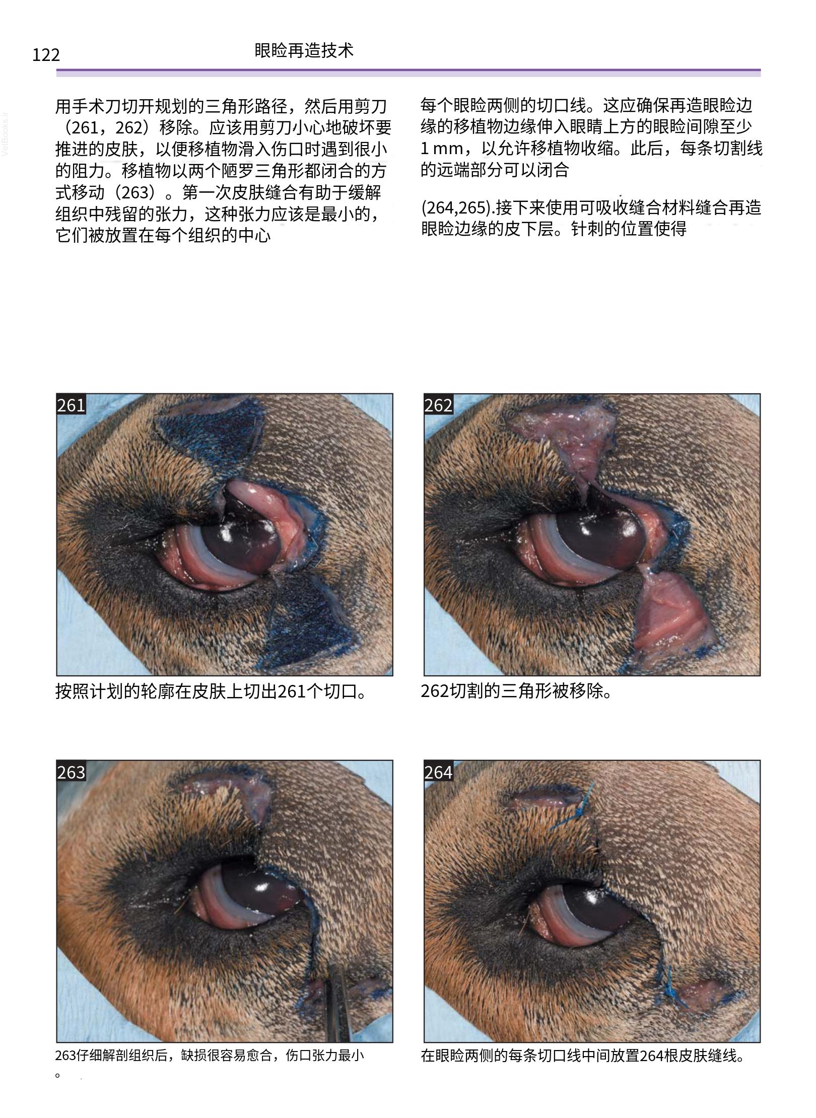 translated.a8c5a3760bed415983298318b0ec0541_123.png