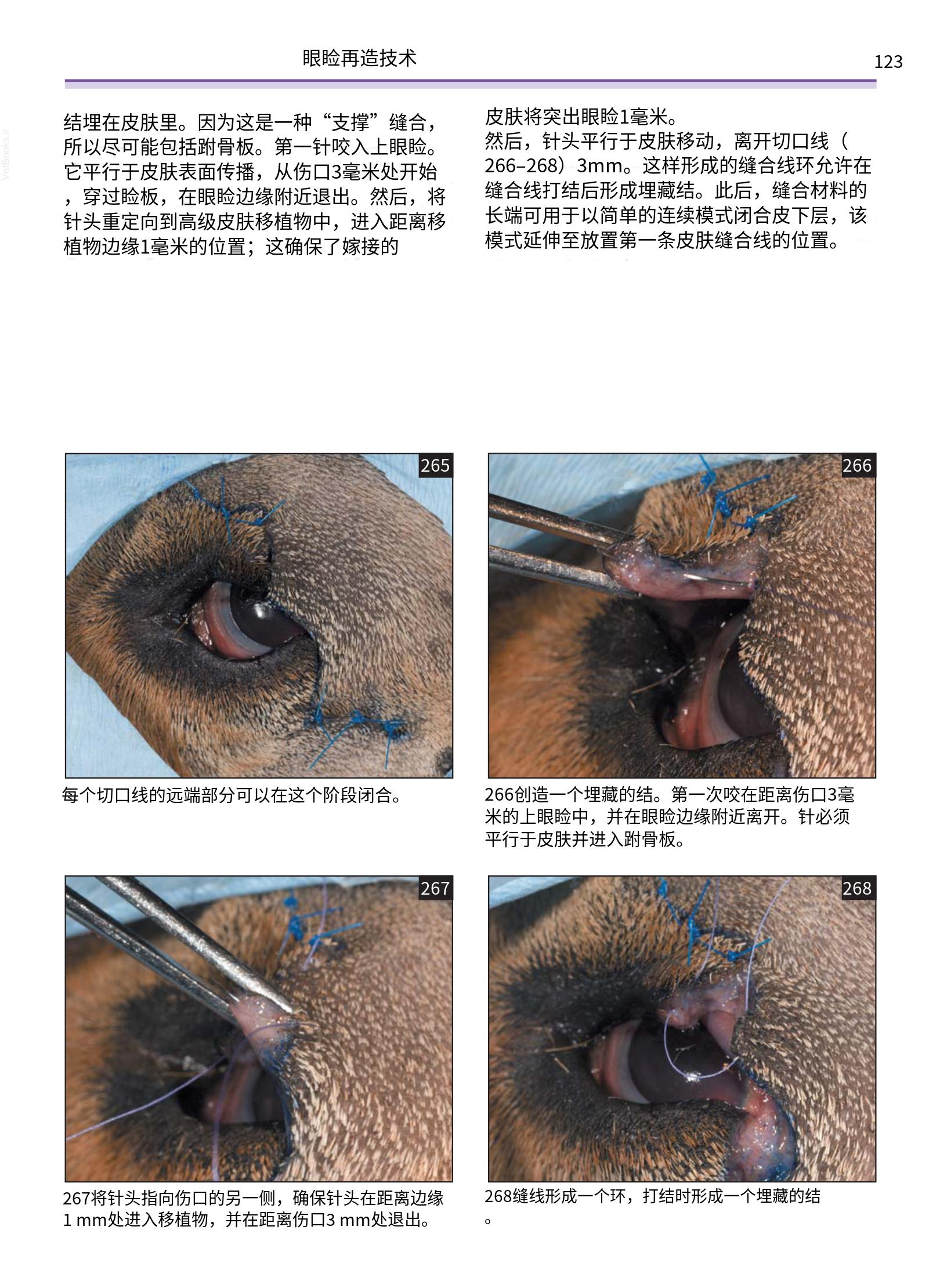translated.a8c5a3760bed415983298318b0ec0541_124.png